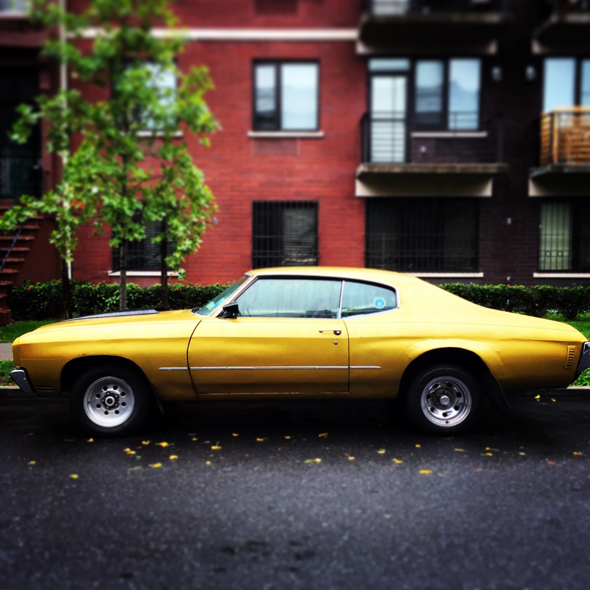 Brooklyn Whips 18.JPG