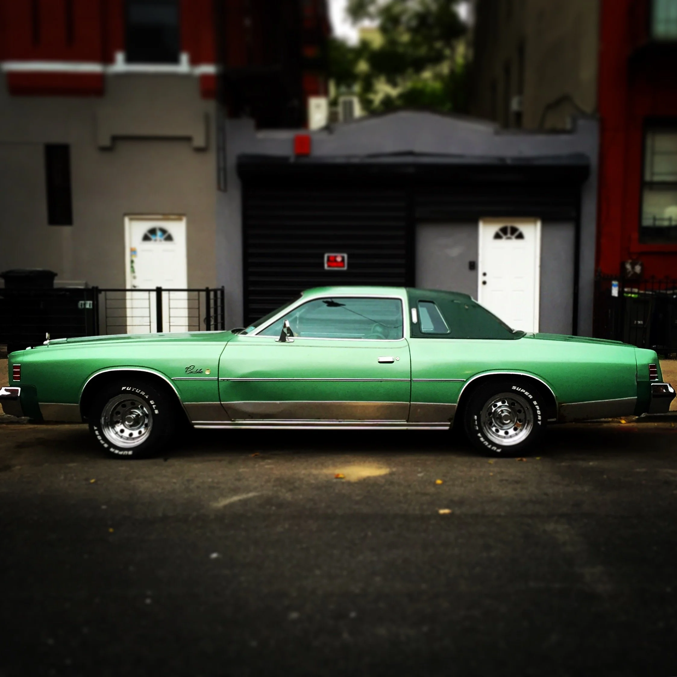 Brooklyn Whips 20.JPG