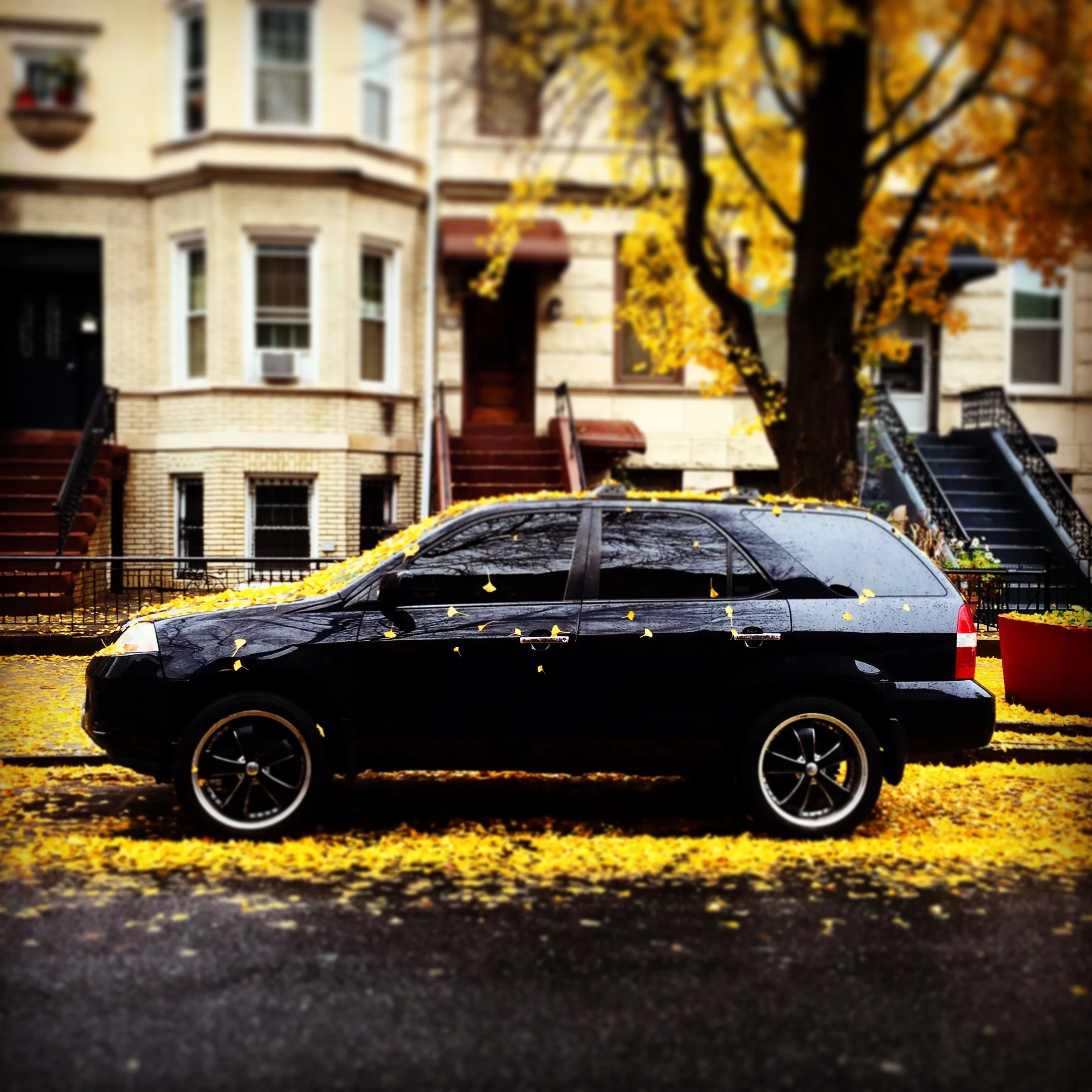 Brooklyn Whips 25.JPG