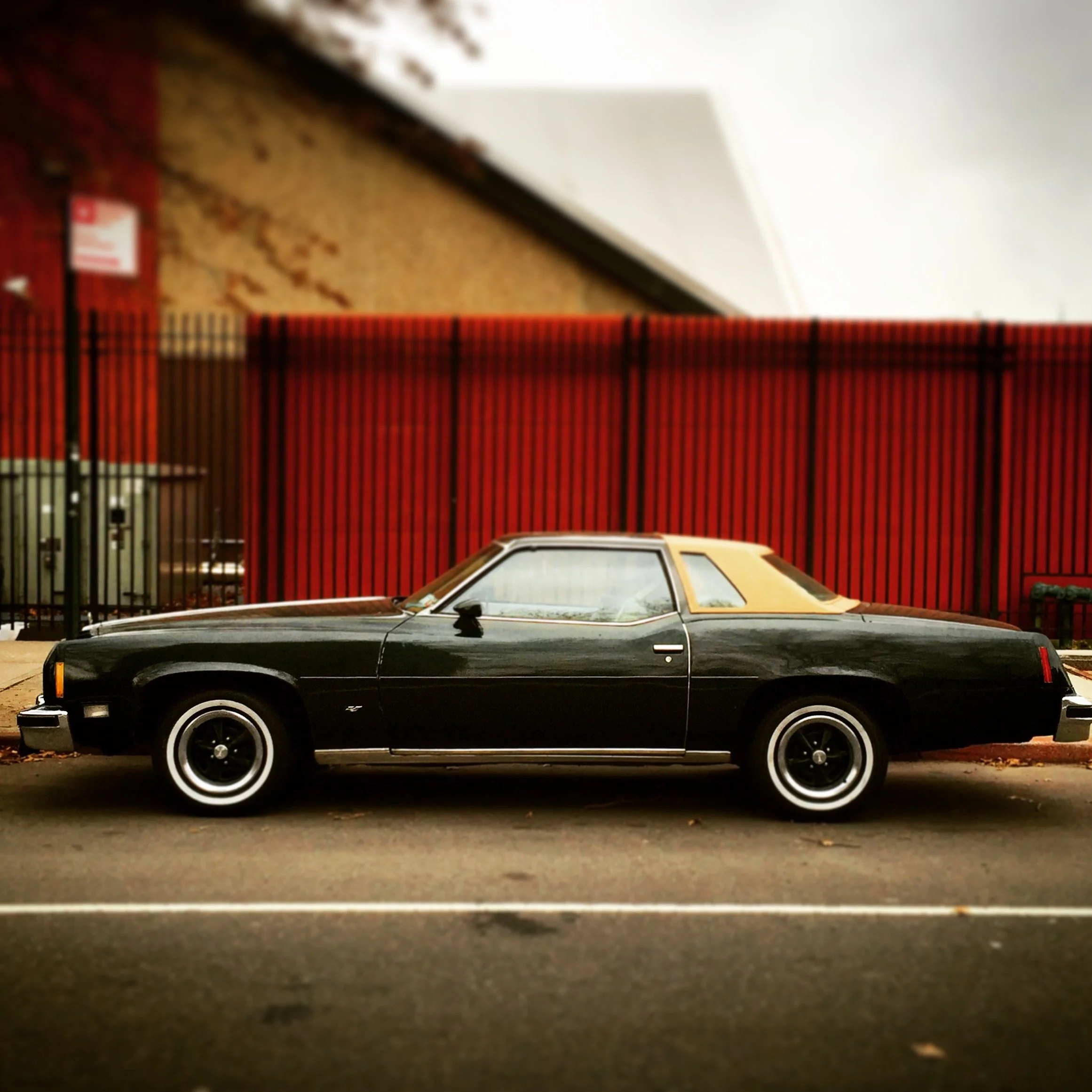 Brooklyn Whips 28.JPG