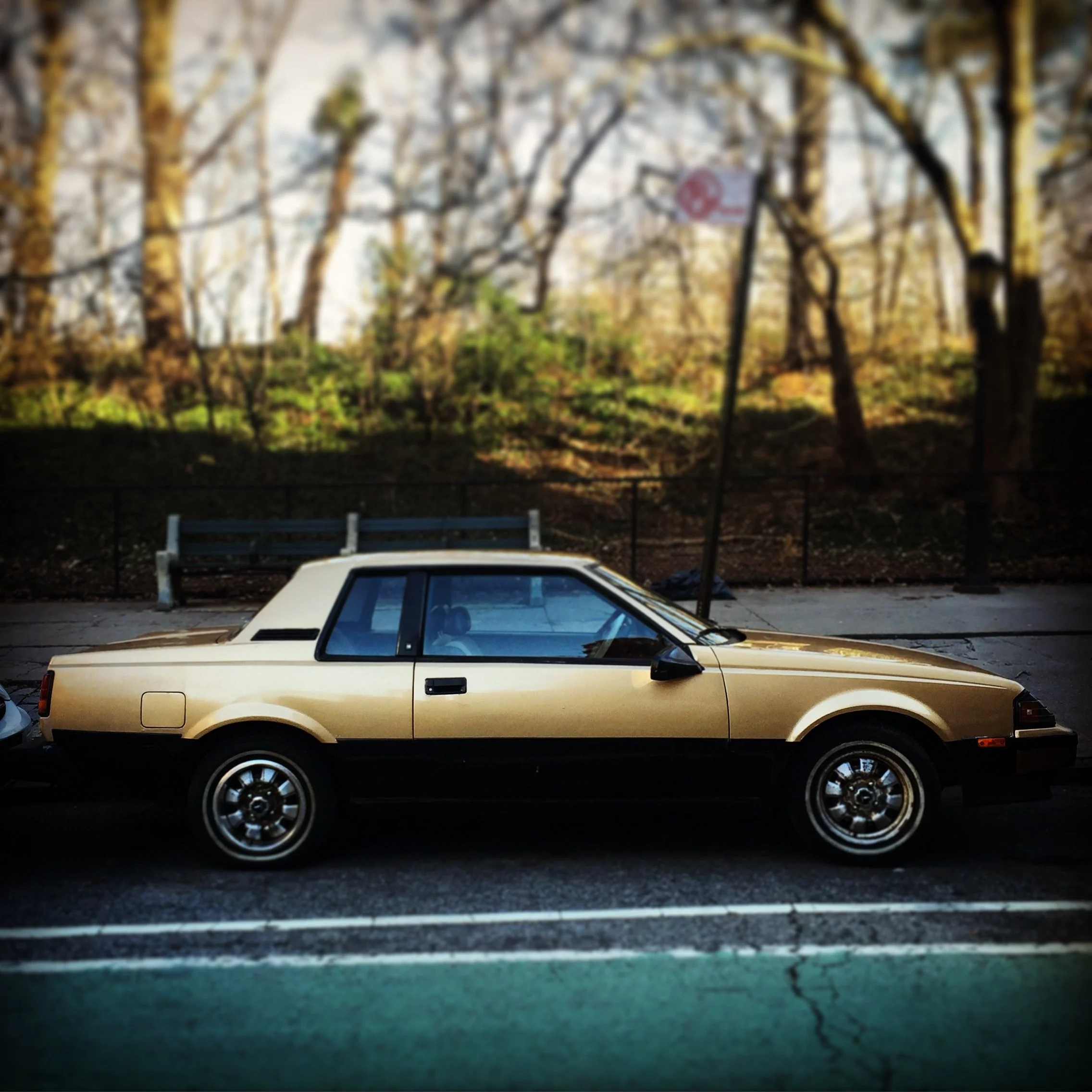 Brooklyn Whips 32.JPG