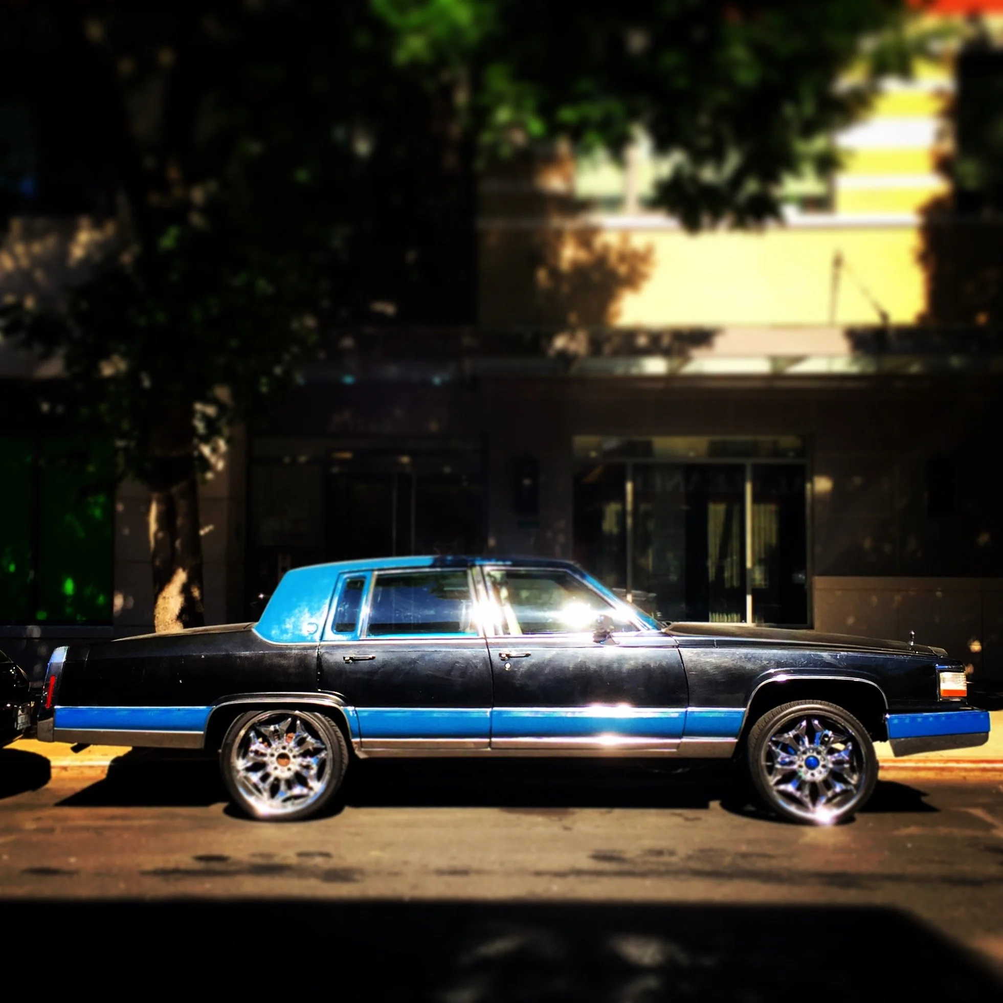 Brooklyn Whips 39.JPG