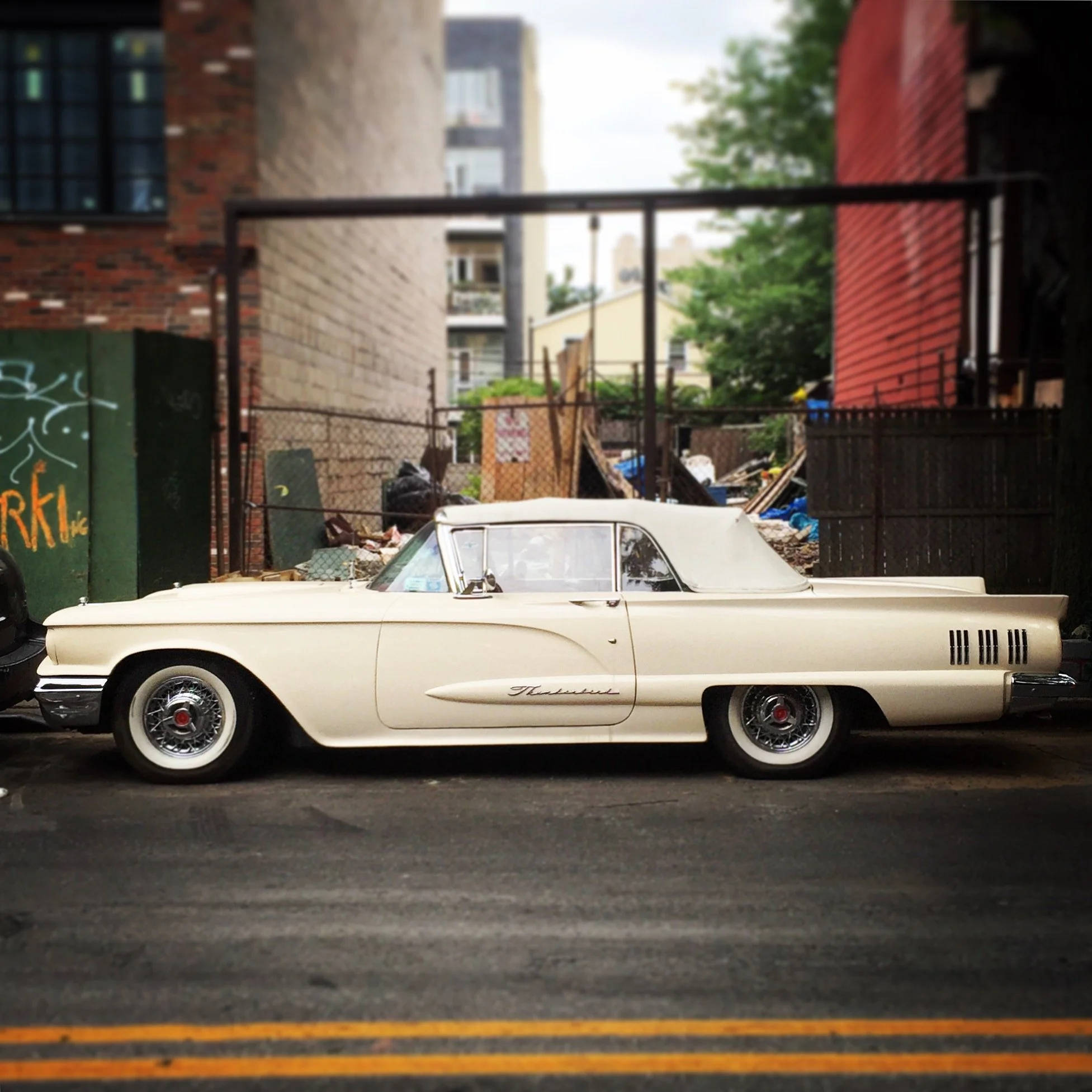 Brooklyn Whips 42.JPG