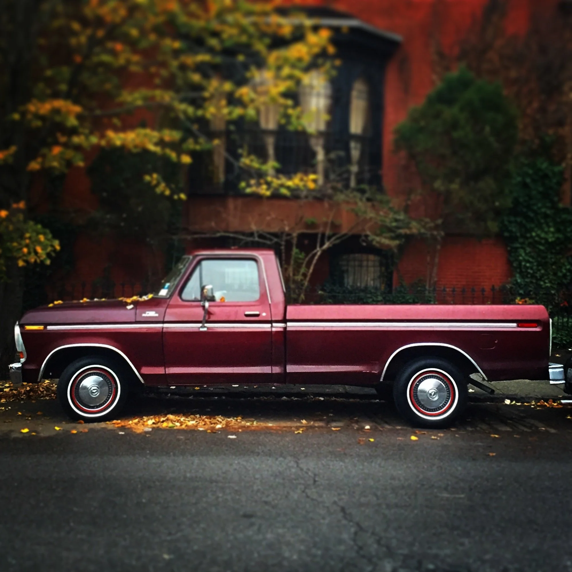Brooklyn Whips 46.JPG