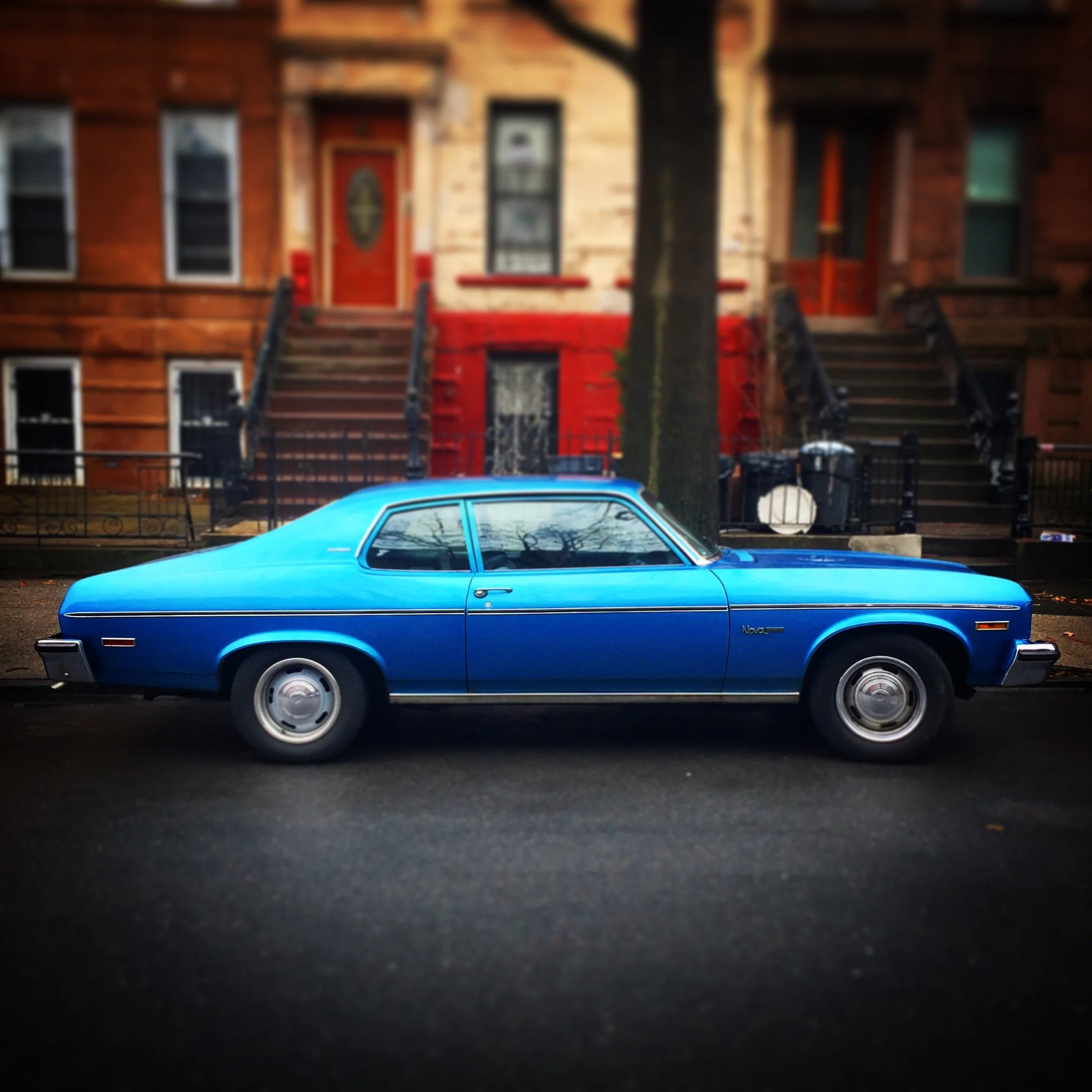 Brooklyn Whips 54.JPG