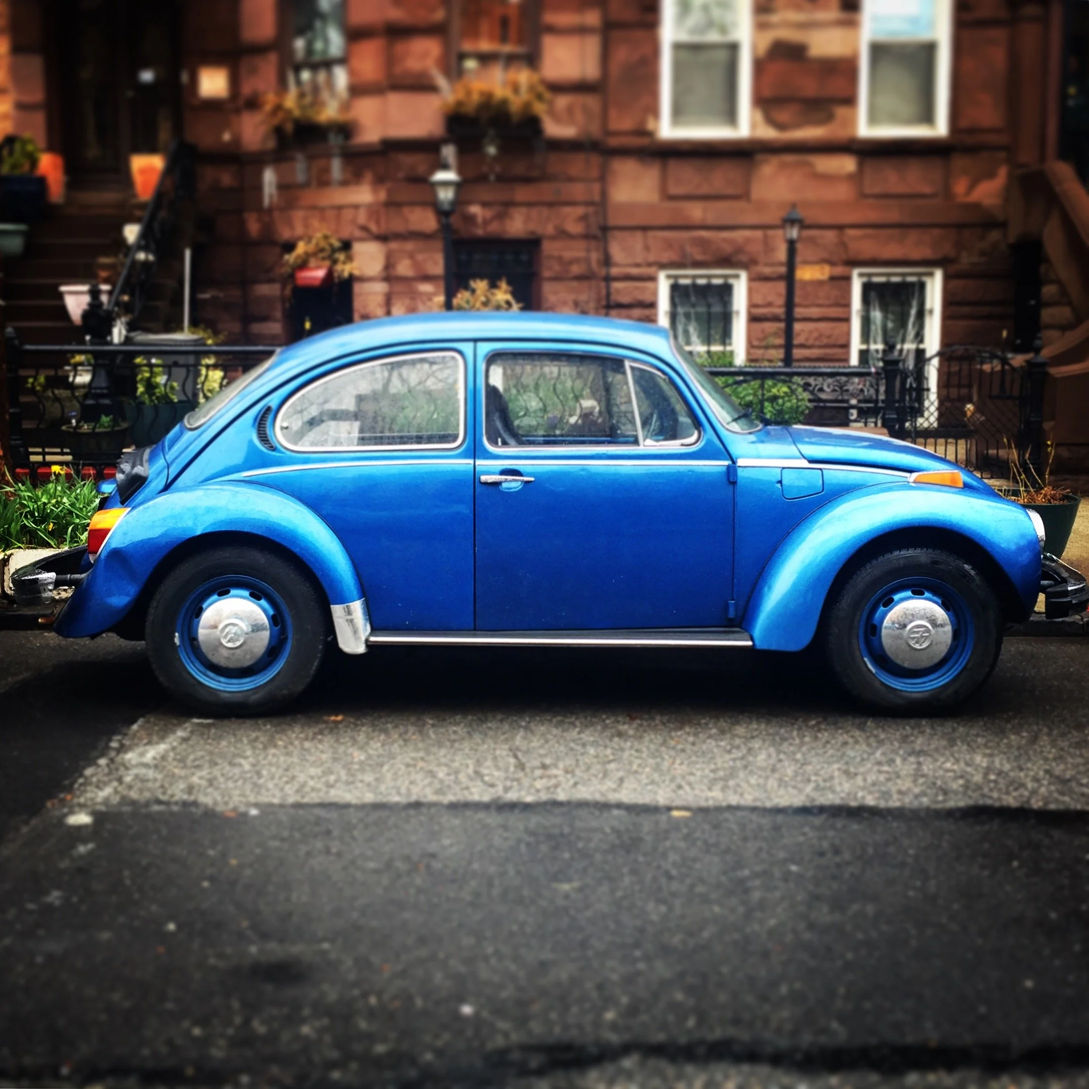 Brooklyn Whips 59.JPG