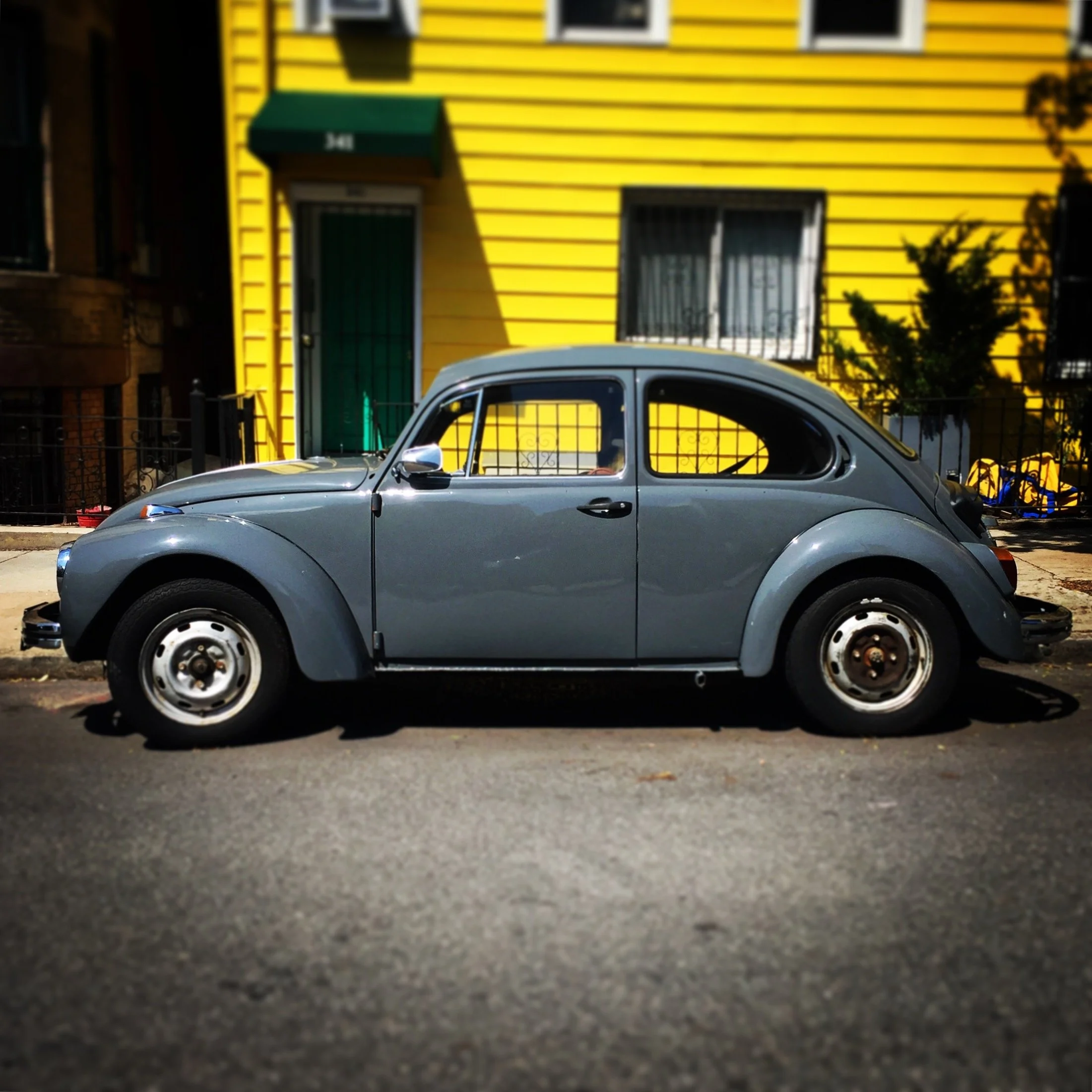 Brooklyn Whips 66.JPG