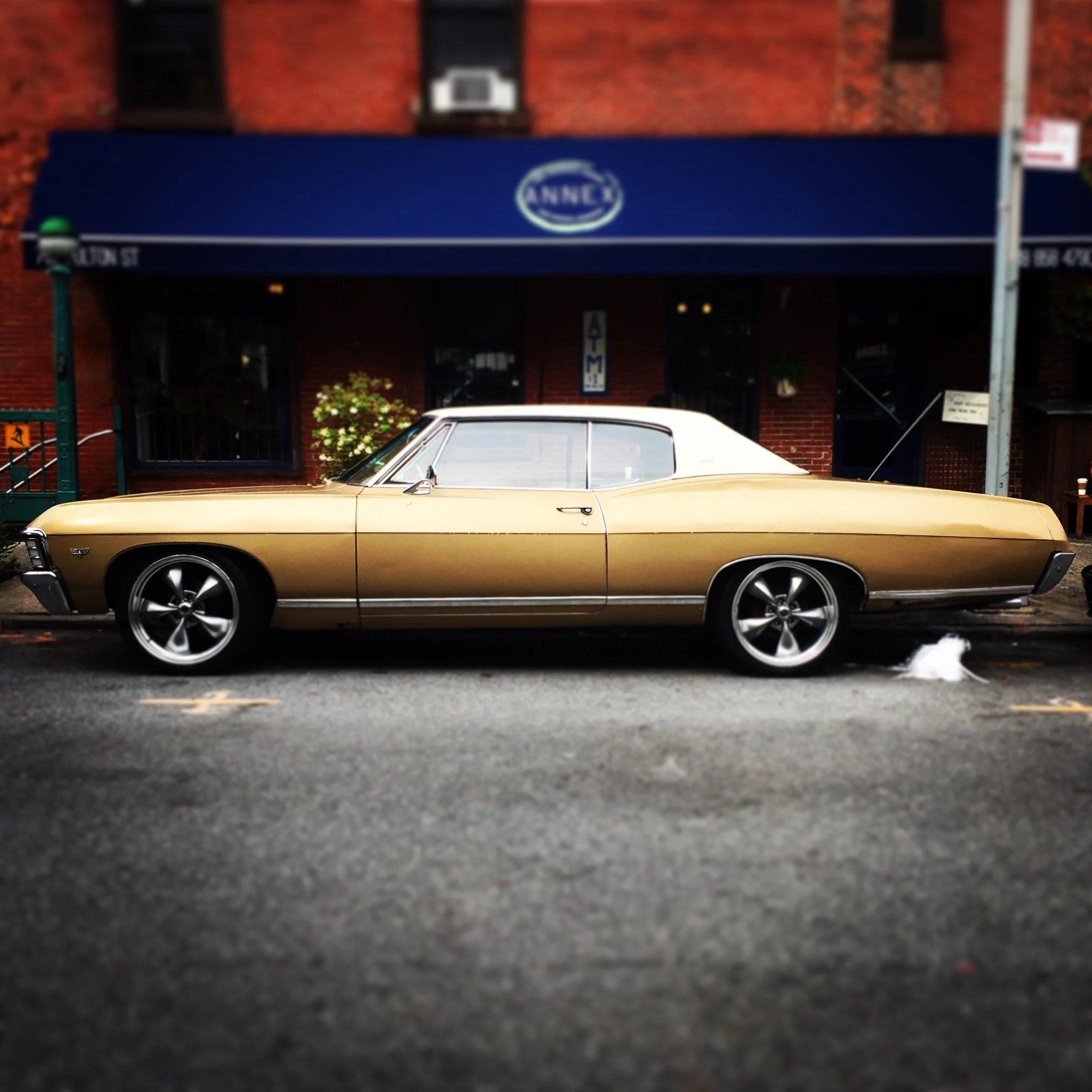 Brooklyn Whips 70.JPG