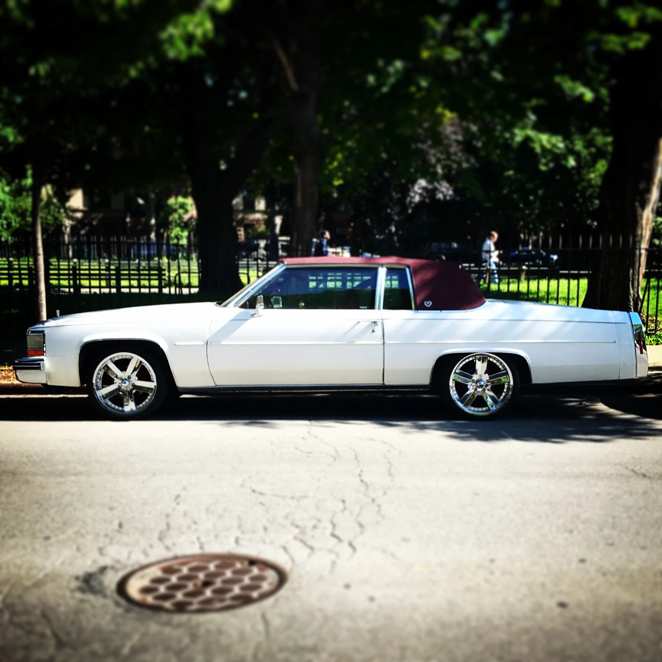 Brooklyn Whips 84.JPG