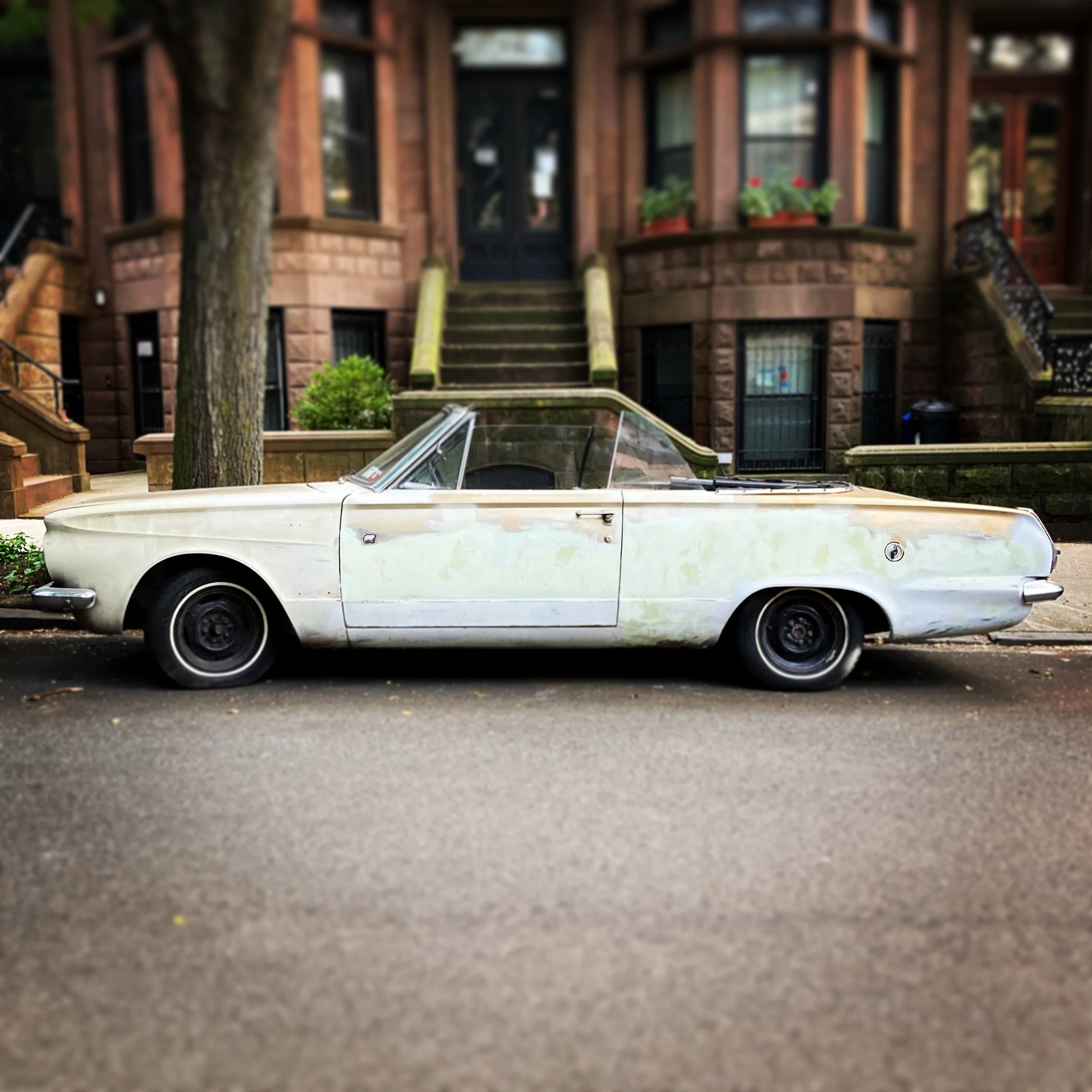 Brooklyn Whips 90.JPG