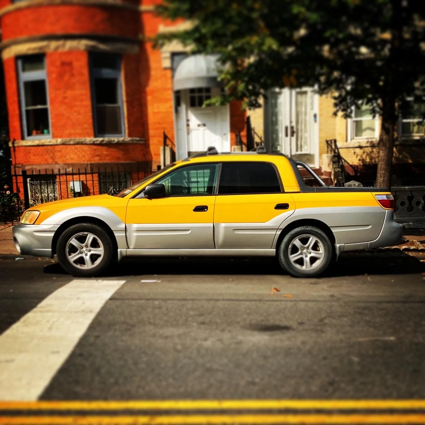 Brooklyn Whips 92.JPG
