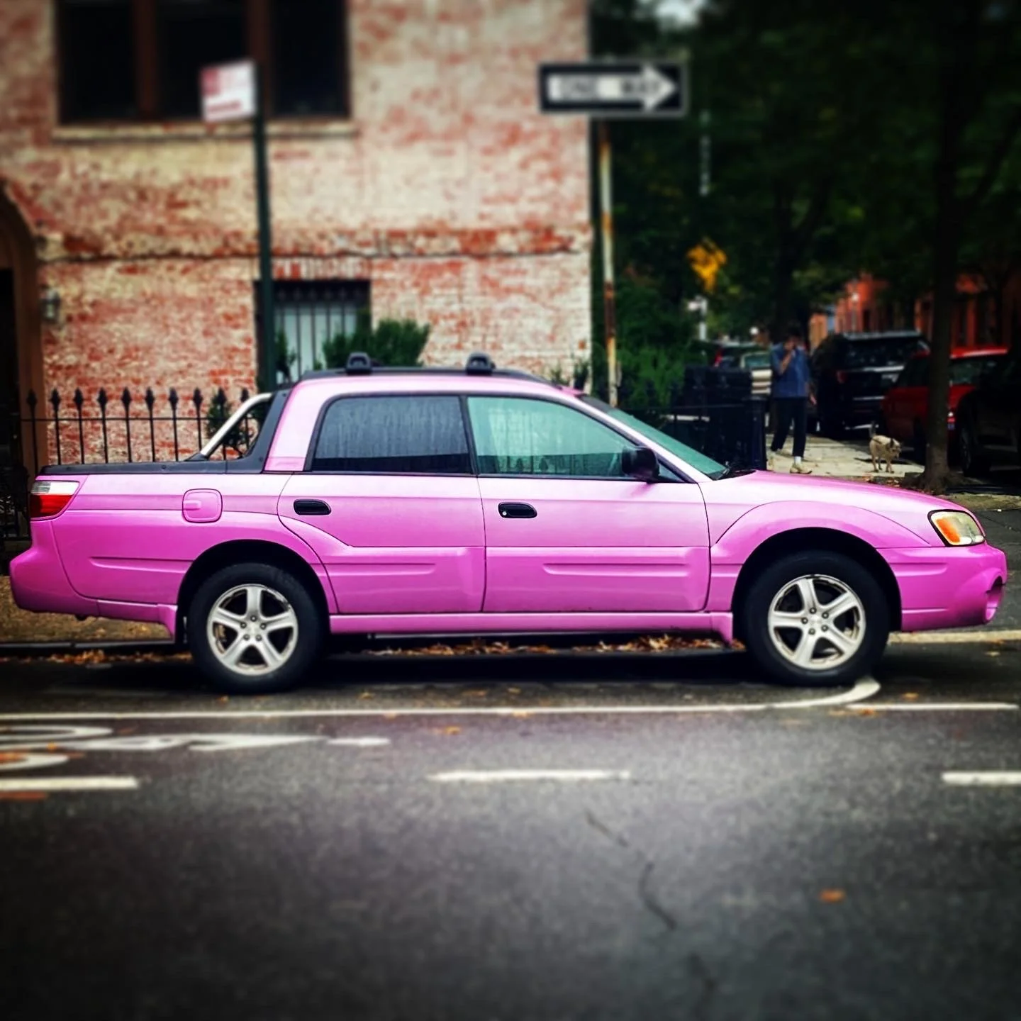 Brooklyn Whips 93.JPG