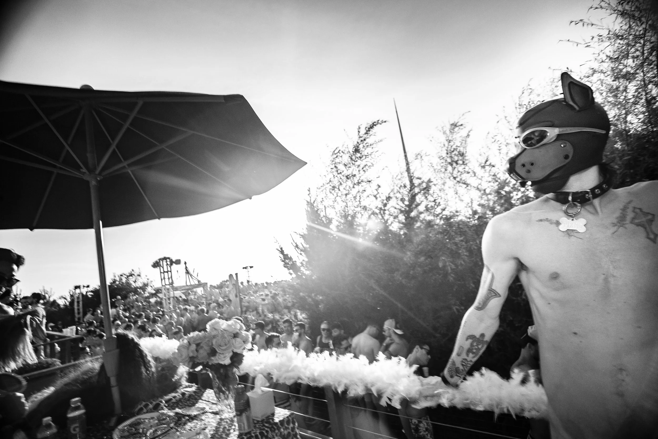 Fire Island Pines IndepenDance July 5th, 2025 68 Pup Pixel Black & White Photo by Vito Fun.jpg