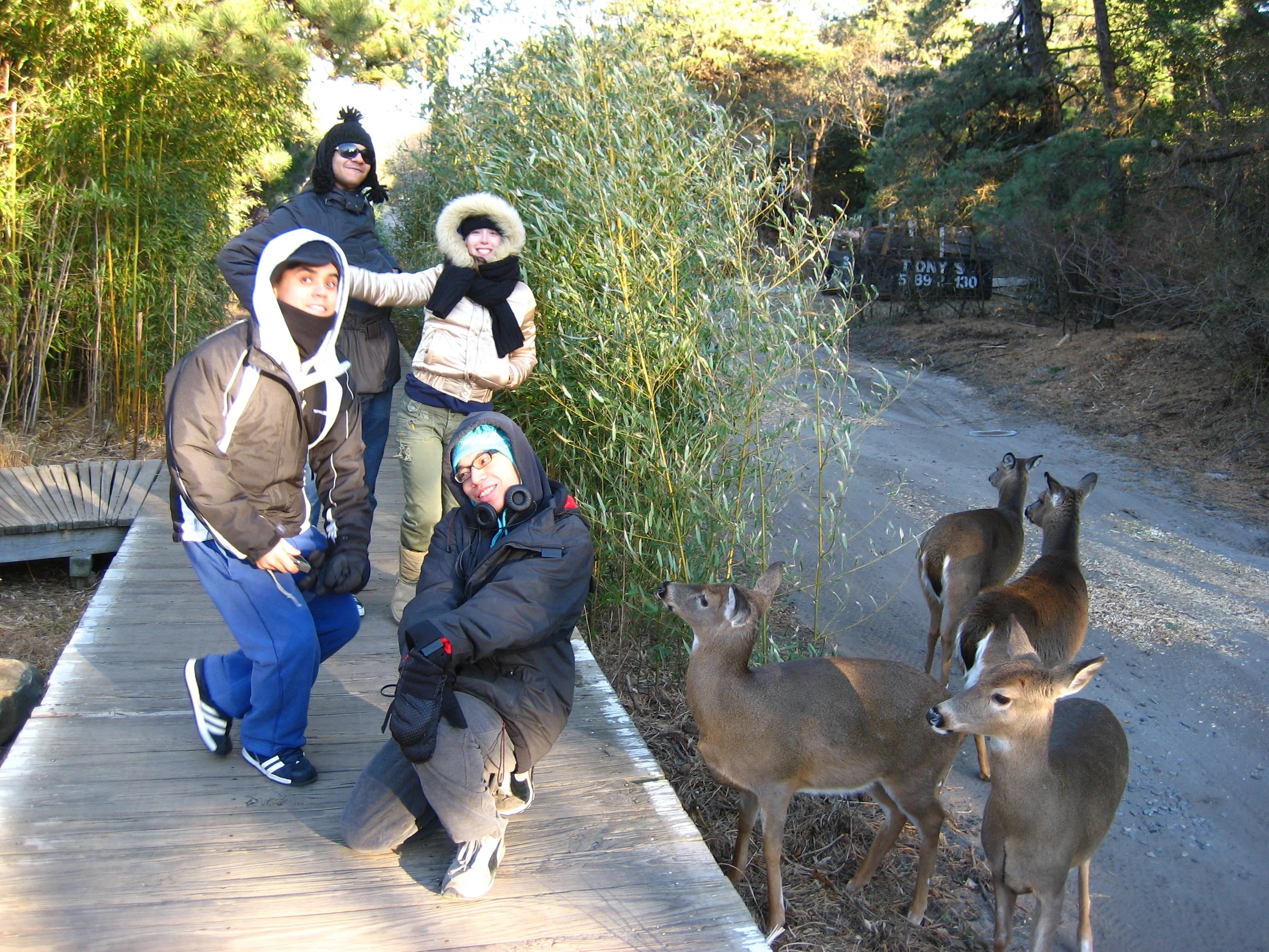 Becca's Birthday Beach; Becca Clem Erik Angel On Walkway With Deer Fire Island Pines Winter 1.JPG