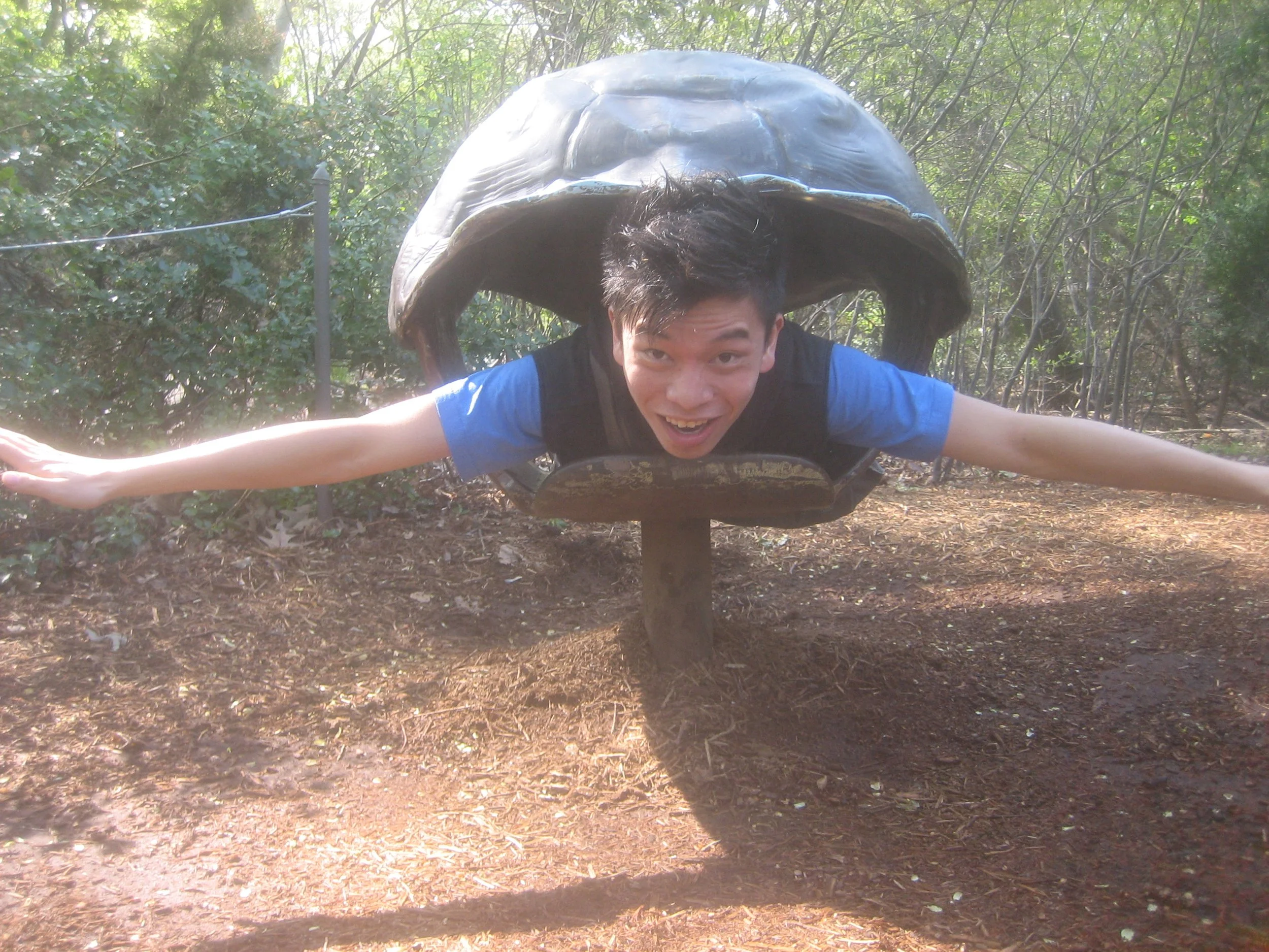 Brooklyn Zoo; Clem Turtle.JPG