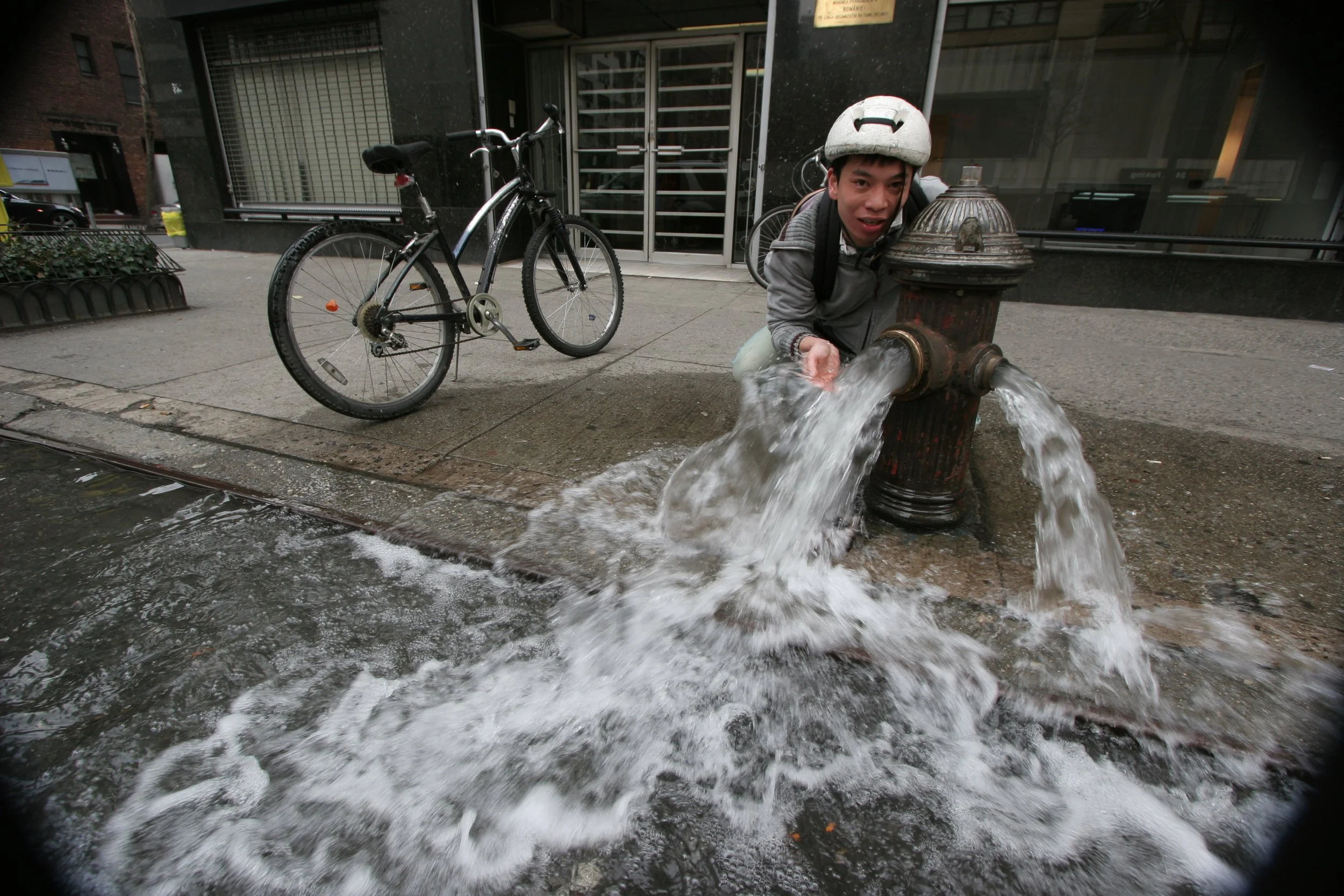 Clem Drinking From An Open Hydrant In March.JPG