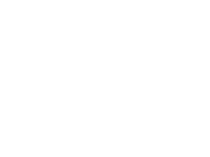 Previous_Client_Logo_Lifeline.png