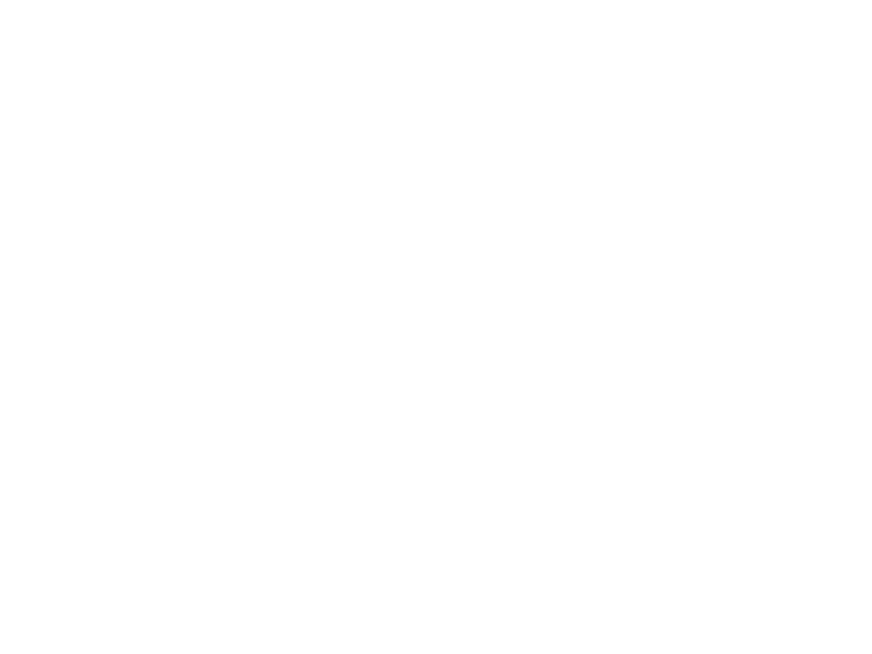 Previous_Client_Logo_Solotel.png