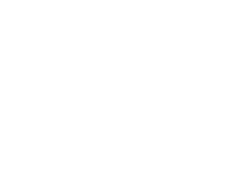 Previous_Client_Logo_ONeill.png