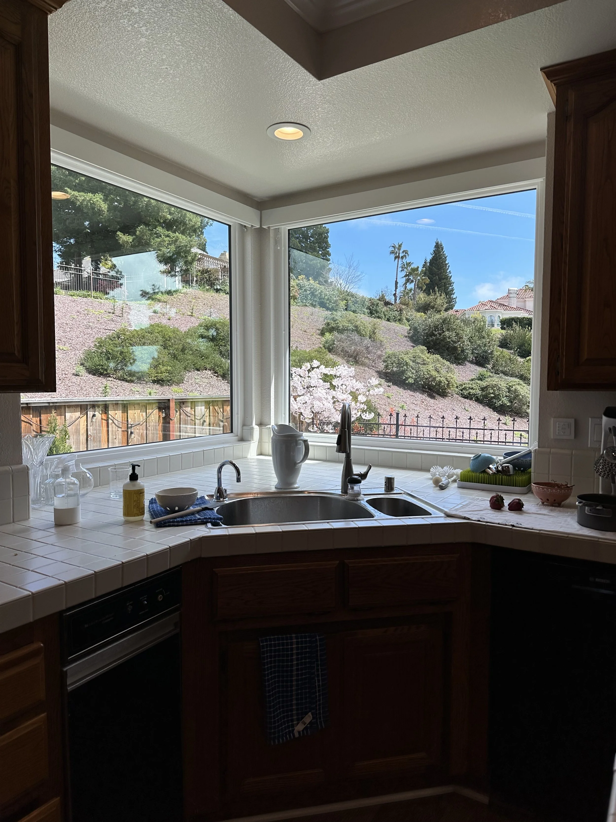 Dated Blackhawk Kitchen Extensive Remodel - Before
