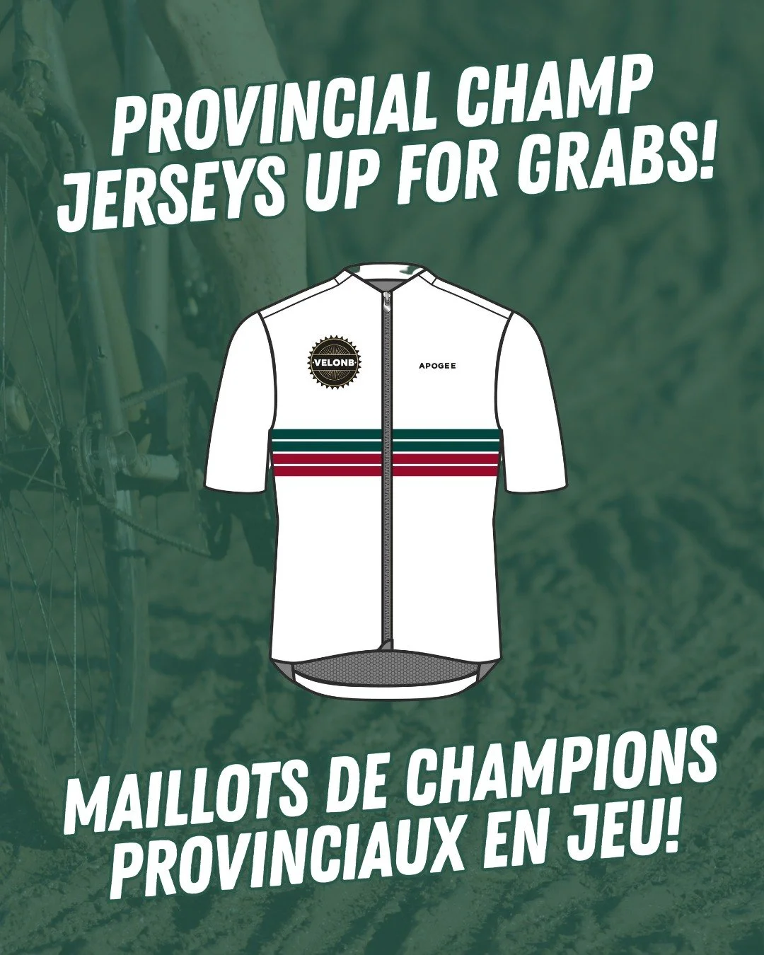 Imaginez rouler le reste de la saison avec le maillot supr&ecirc;me de champion provincial sur le dos... 🏆 Inscrivez-vous et voyez si vos jambes ont le coup de p&eacute;dale pour repartir avec ! (Membres V&eacute;lo NB et r&eacute;sidents du N.-B. s