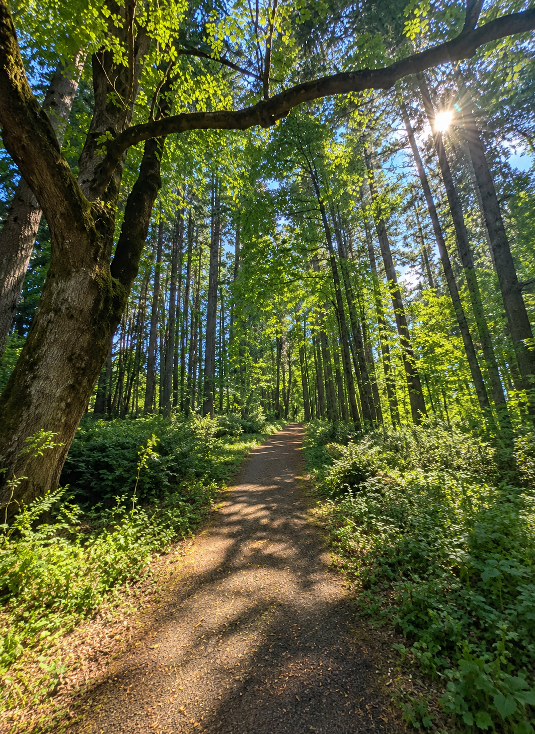 Scouter’s Mountain Nature Park