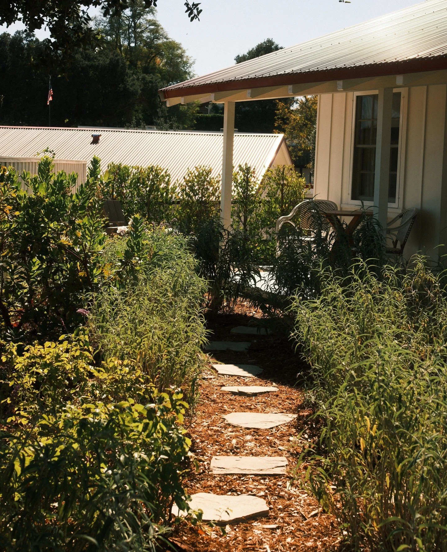 Down the garden path 🌿 ⁠
⁠
.⁠
.⁠
.⁠
⁠
Photo: @lorenmislavsky