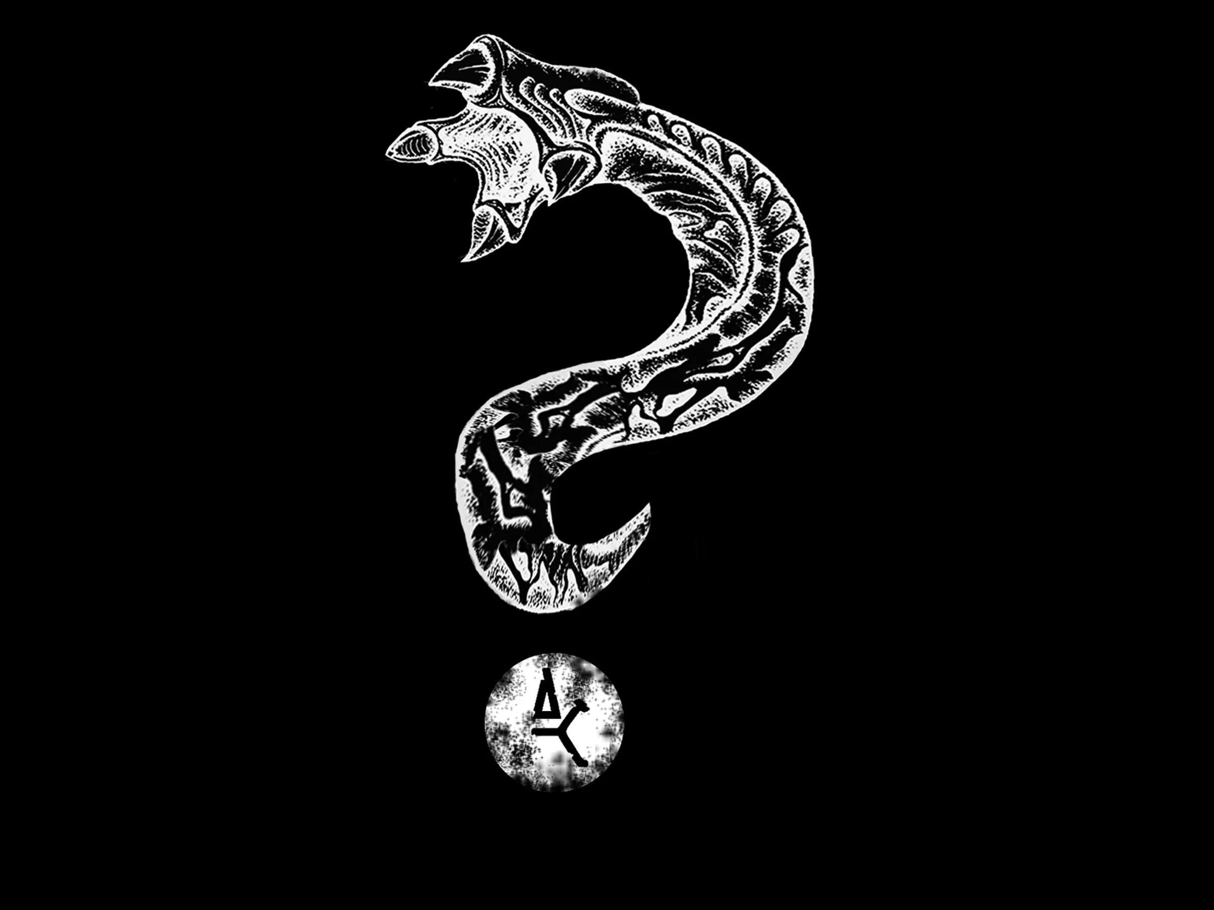 shop-redivide