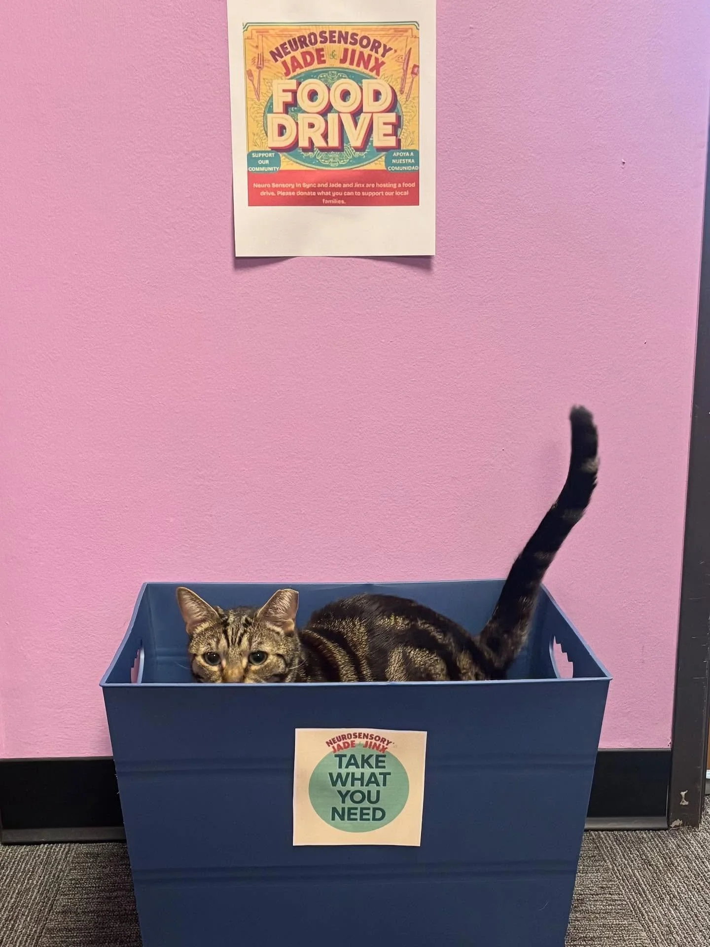 We are hosting a food drive with our OT neighbors. We are looking to support clients and local food banks with our donations. If you are interested in helping please email me! eworth@jadeandjinx.com 🥫🍽️ #fooddrive #jadeandjinx #supportingeachother