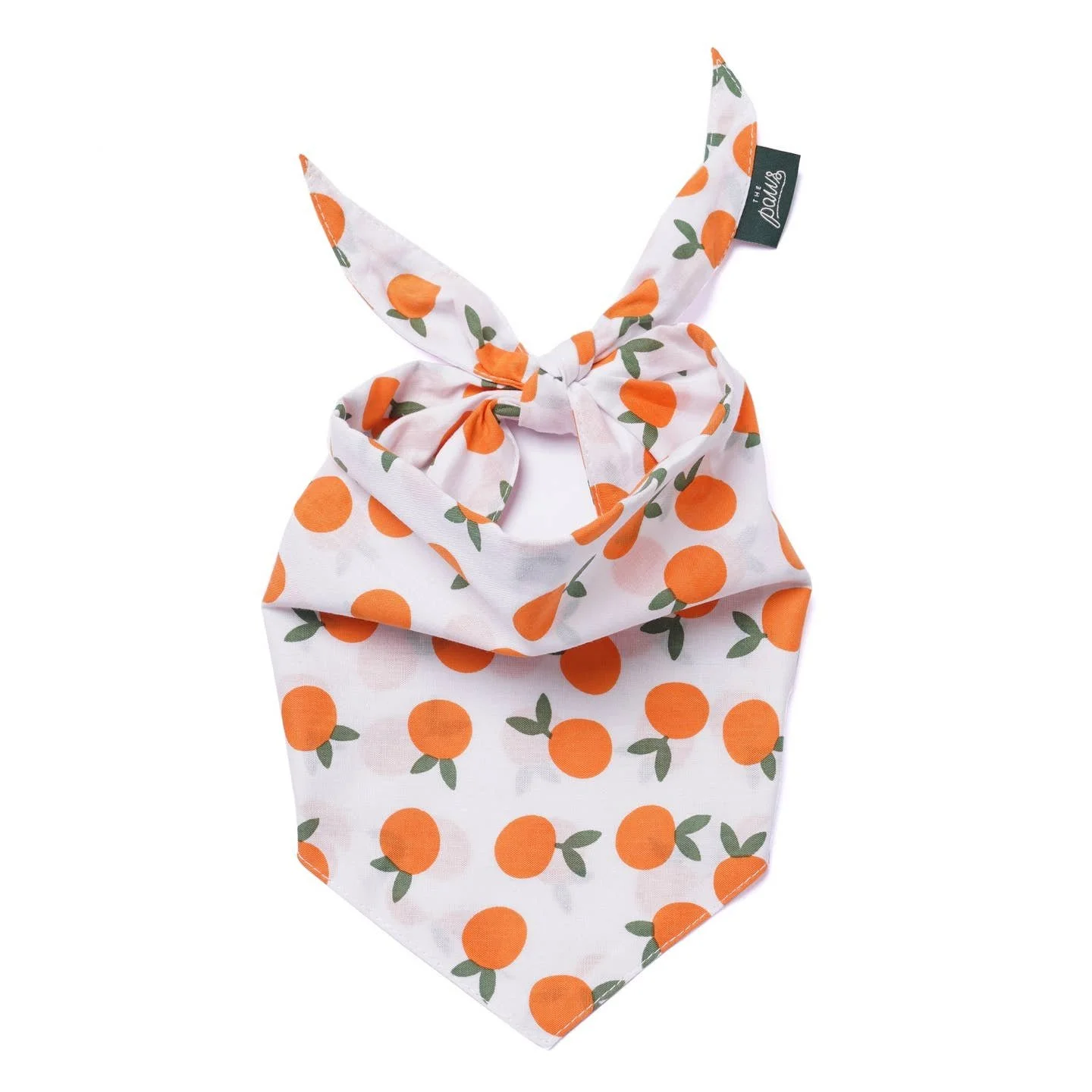 The Paws Clementine Bandana