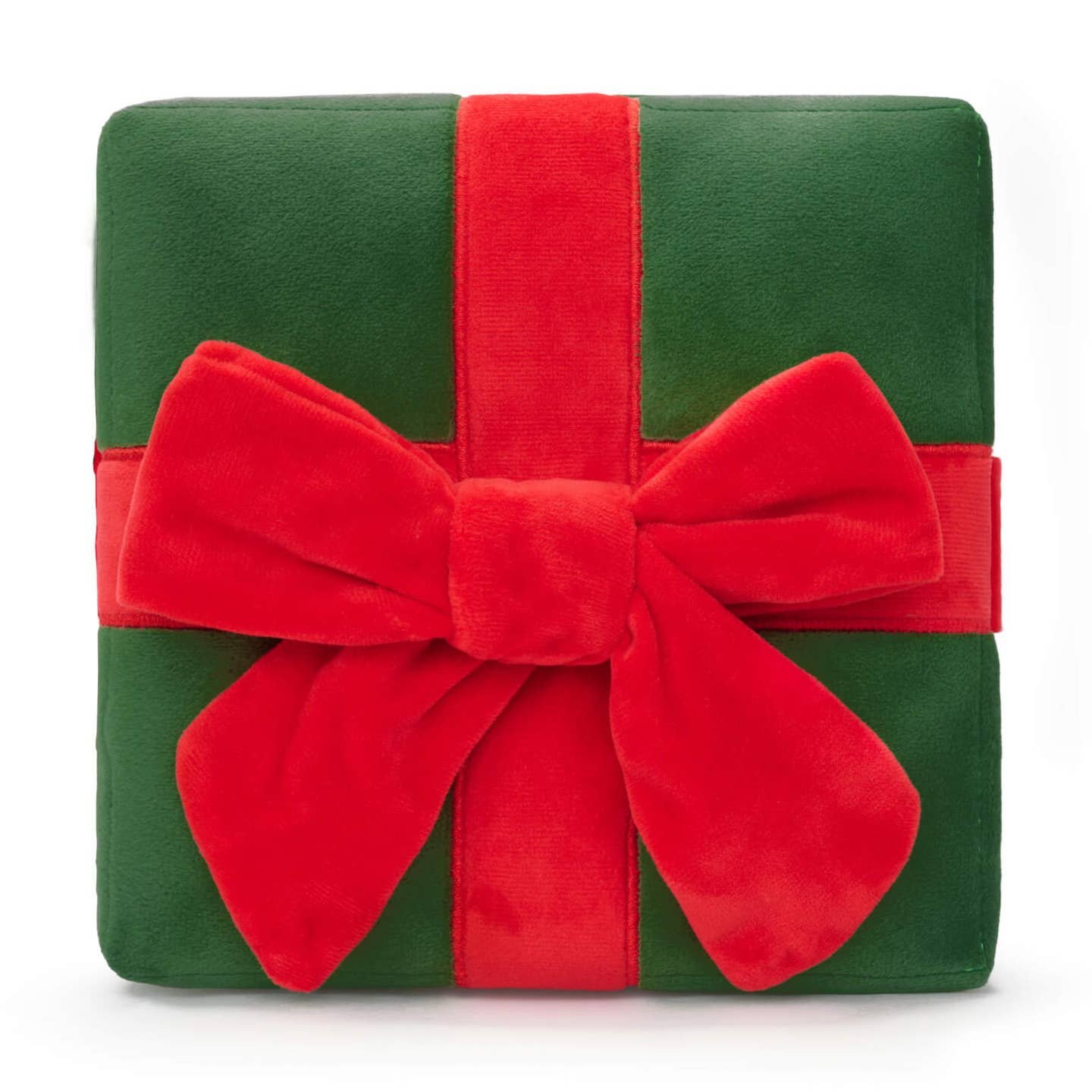 The Foggy Dog Present Interactive Toy