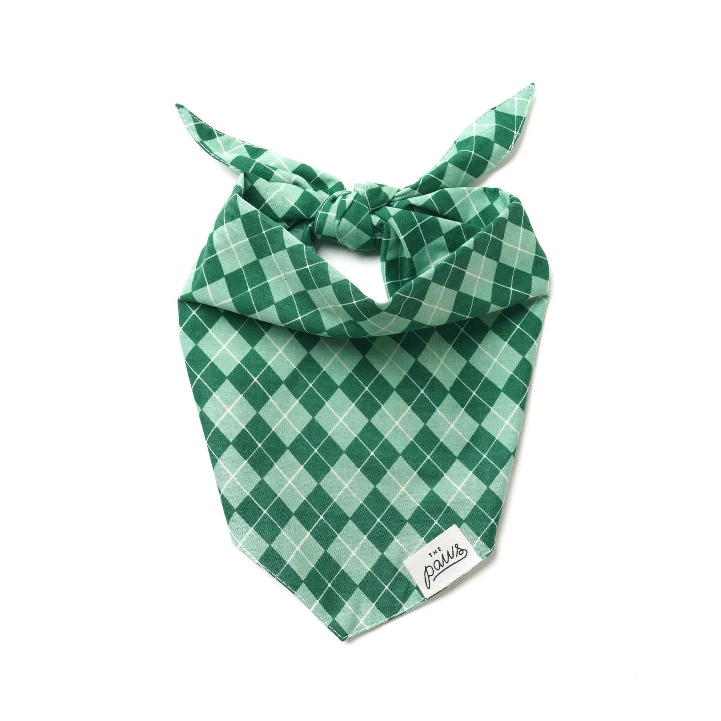 The Paws Dublin Dog Bandana