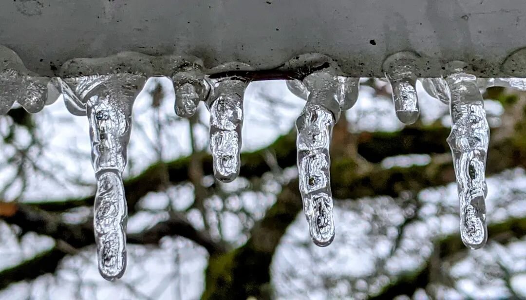 Update: the thaw has begun, albeit a bit more slowly than initially predicted. 🙃

We are hoping to have the office staffed at noon today when it is hopefully safe to navigate the side roads needed to reach the clinic. We will be working through mess