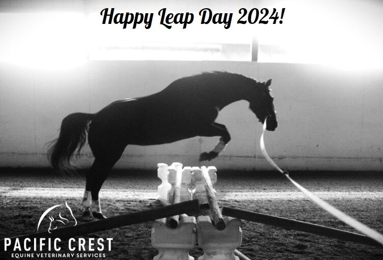 We hope everyone gets to spend this extra day with their favorite equine!