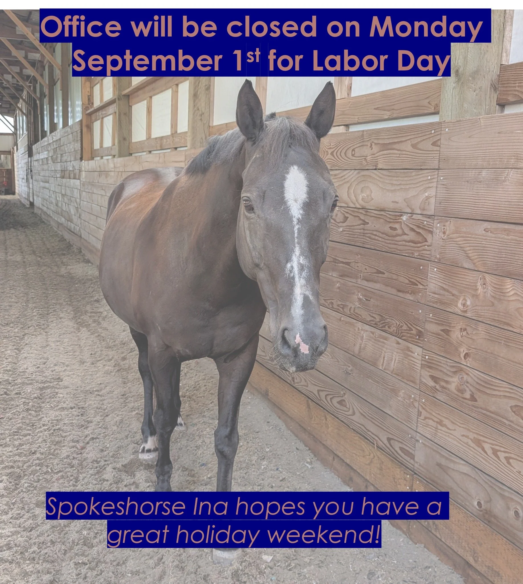 Friendly reminder that our office will be closed on Monday September 1st in observance of Labor Day. 

Doctor on call: (503) 301-4211