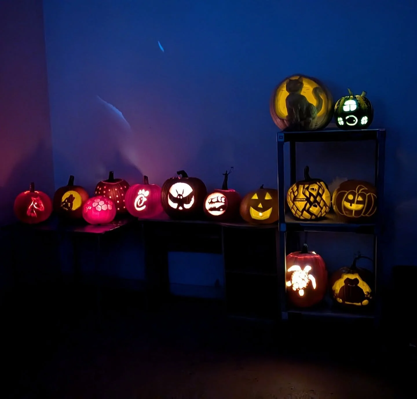 It's that spooky time of year...and we're not just talking about the wind making flying projectiles for your horse to run away from. It's the annual Pacific Crest pumpkin carving! We had some truly wonderful creations today!