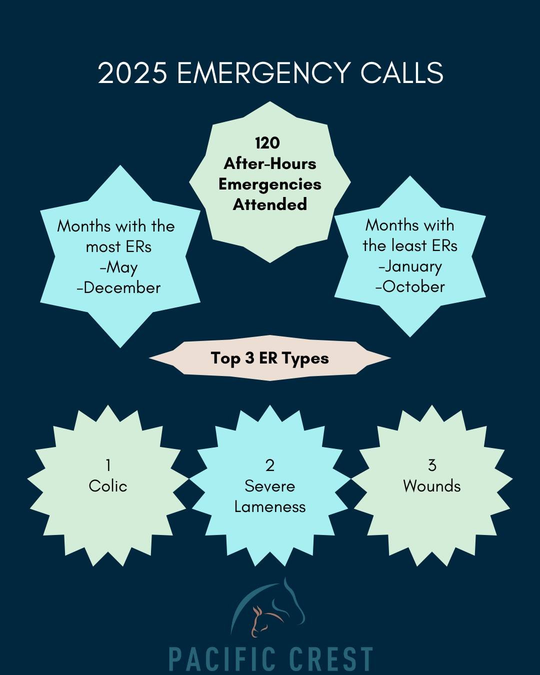 A look back at our emergency calls for 2025.  120 after-hours emergency exams performed (and many more phone consultations that didn't require an in-person exam). Keeping with typical equine practice our top 3 reasons for an ER exam were colics, seve