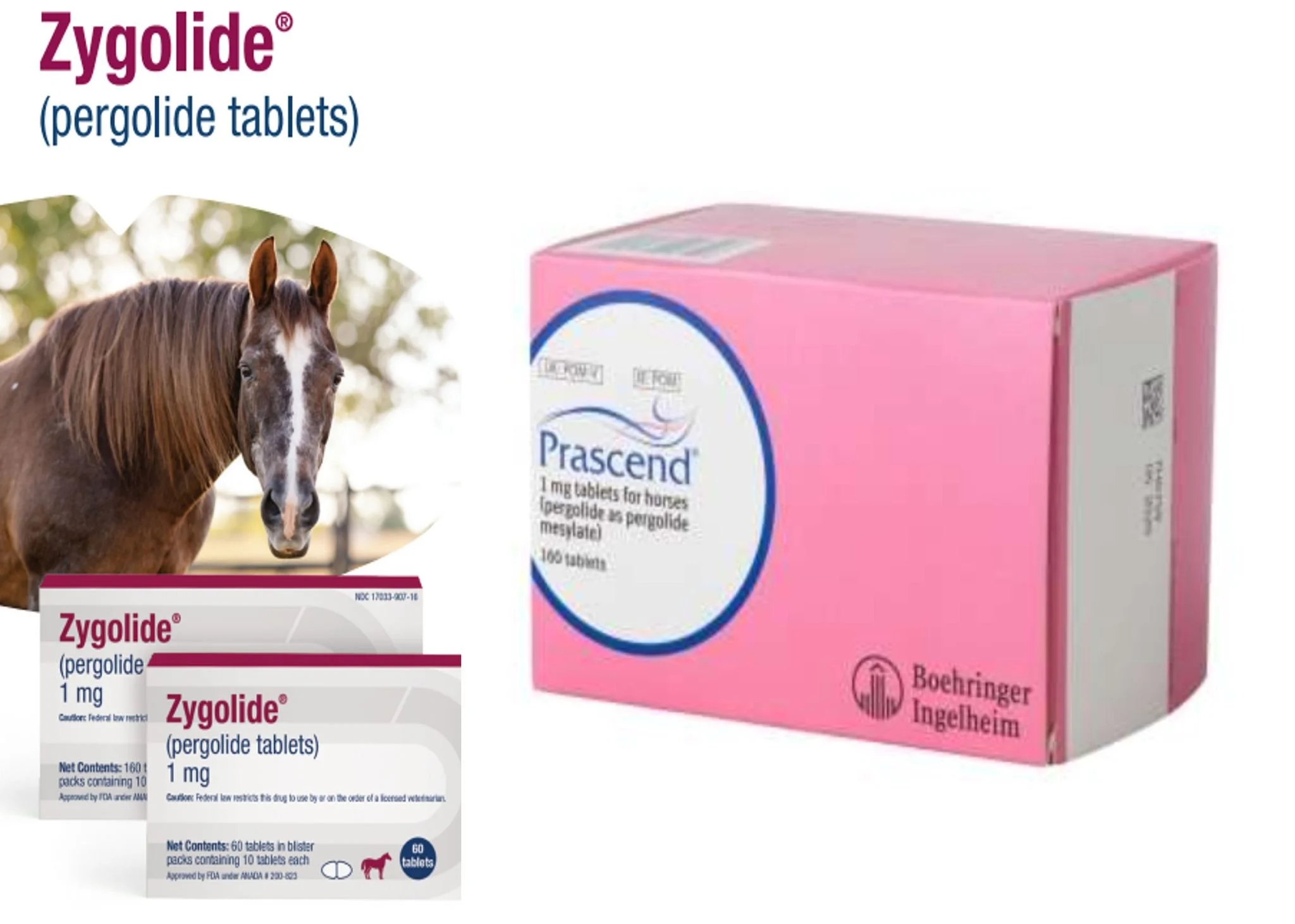 The long anticipated generic version of Prascend is now on the market.  Zygolide is the name of new product and both are available from our online pharmacy https://pacificcrestevs.covetruspharmacy.com/

Both products provide 1mg of pergolide per tabl
