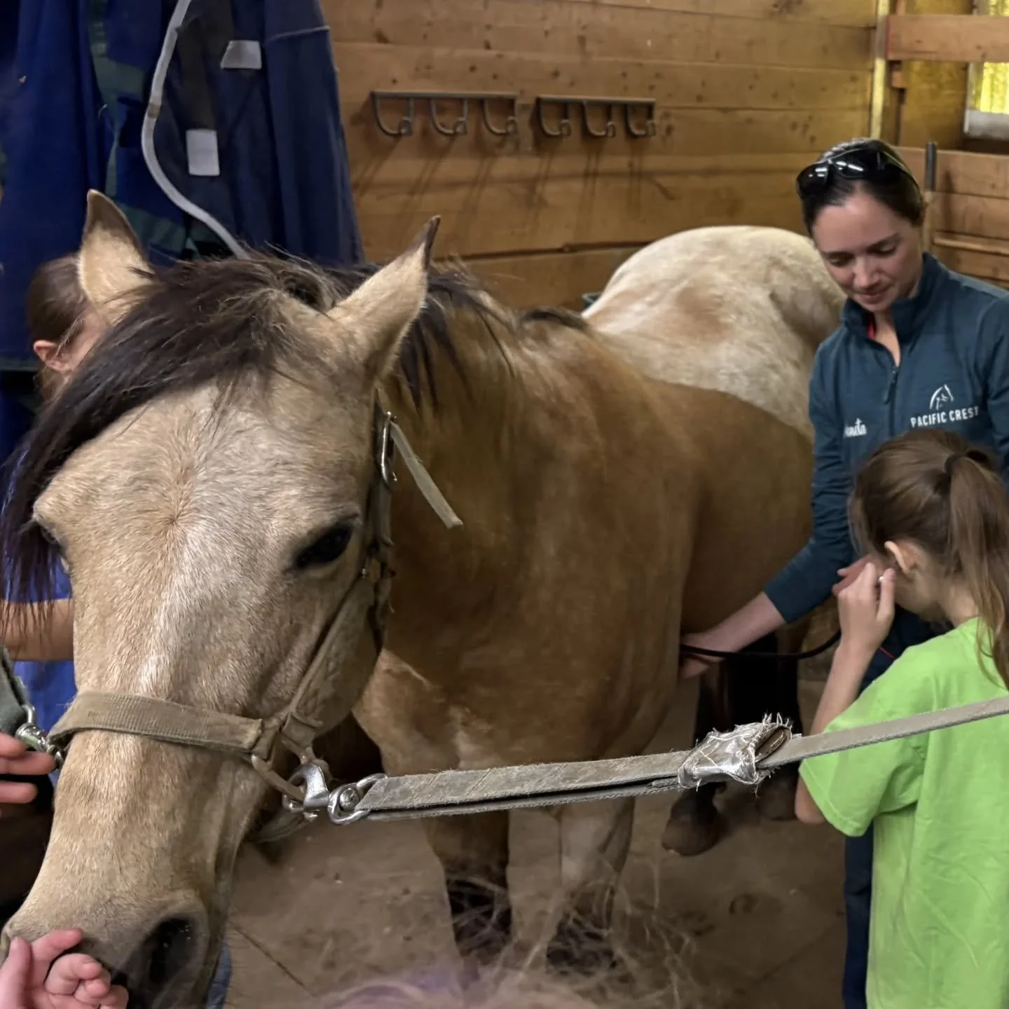 Passing on the love of horses and veterinary medicine to the next generation! It was a pleasure to have an informative session with one of our local Girl Scout troops working to earn their horse badge. Big thanks to Kelly @united_equinellc for lettin