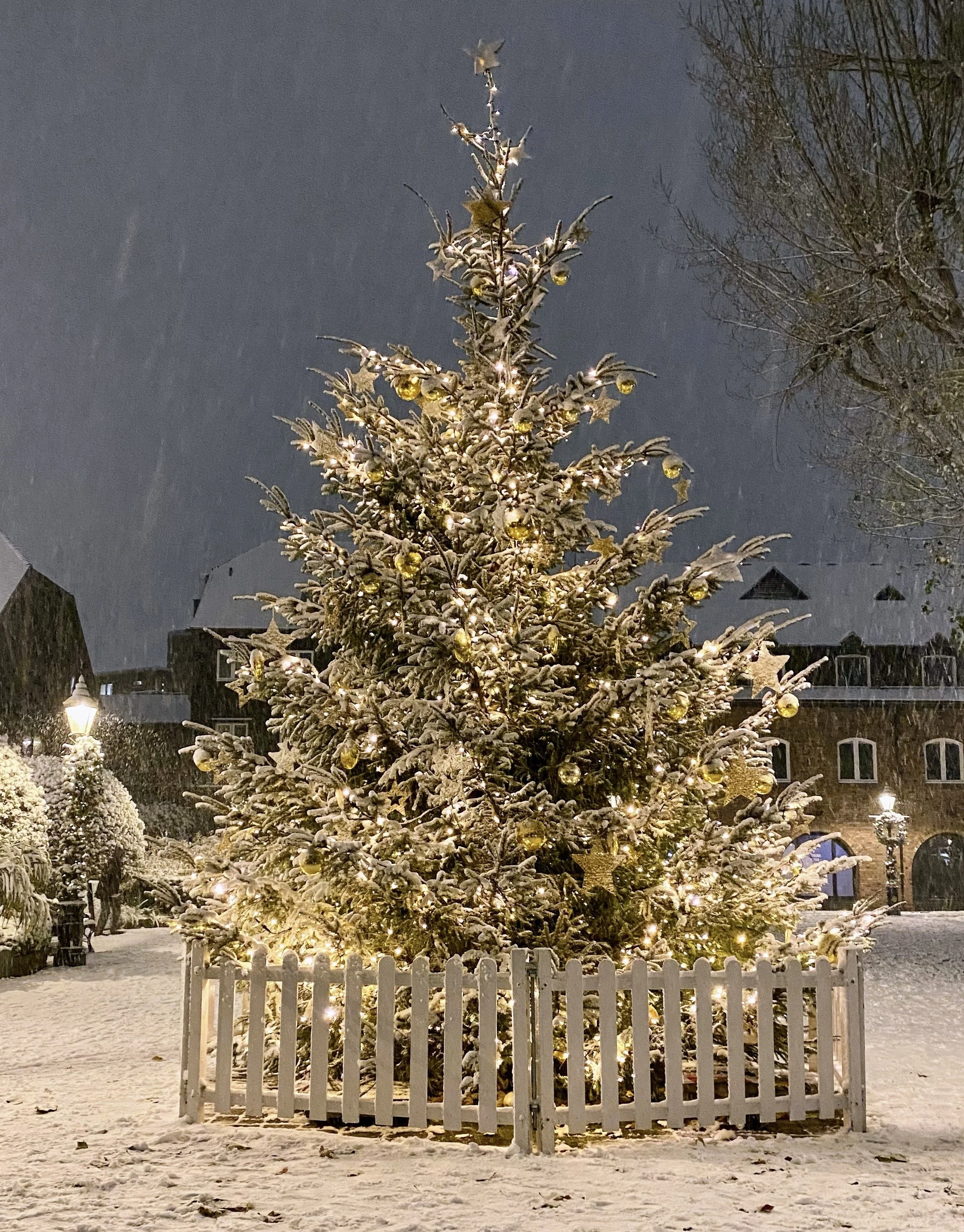 Put the Tape Measure Down, it’s December