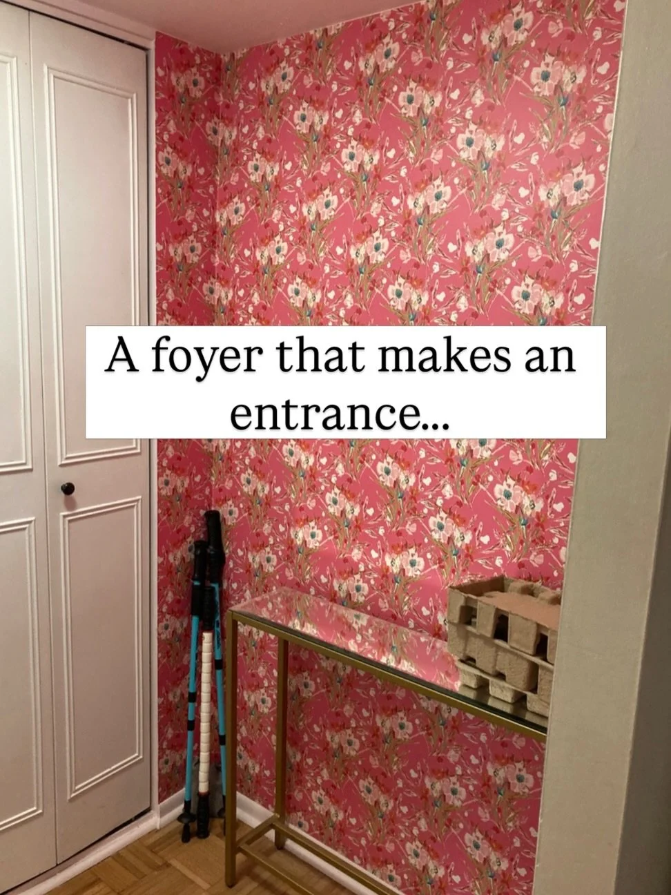 This tiny foyer could&rsquo;ve played it safe. Instead? She went full send 💕

Leaning all the way into the pink she already loved, my cute client doubled down and turned this space into a full-on jewel box&mdash;a little hit of dopamine every time s