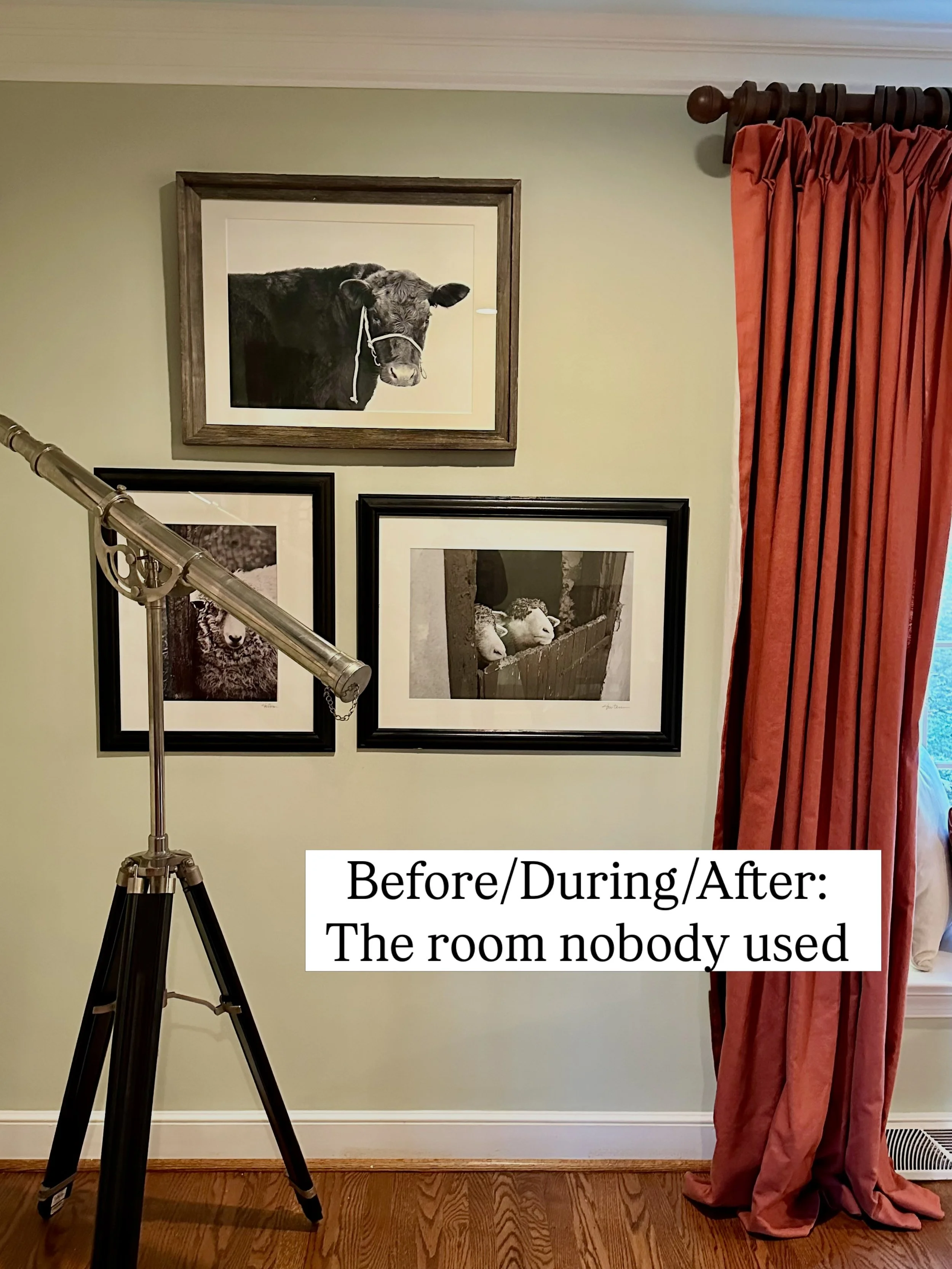 This room had great light, sat right at the front entrance of the home&hellip;and barely got used. Unacceptable!

When my client and I first tackled this space a few years ago, it felt crowded, hectic and lacked a real sense of purpose. She had colle