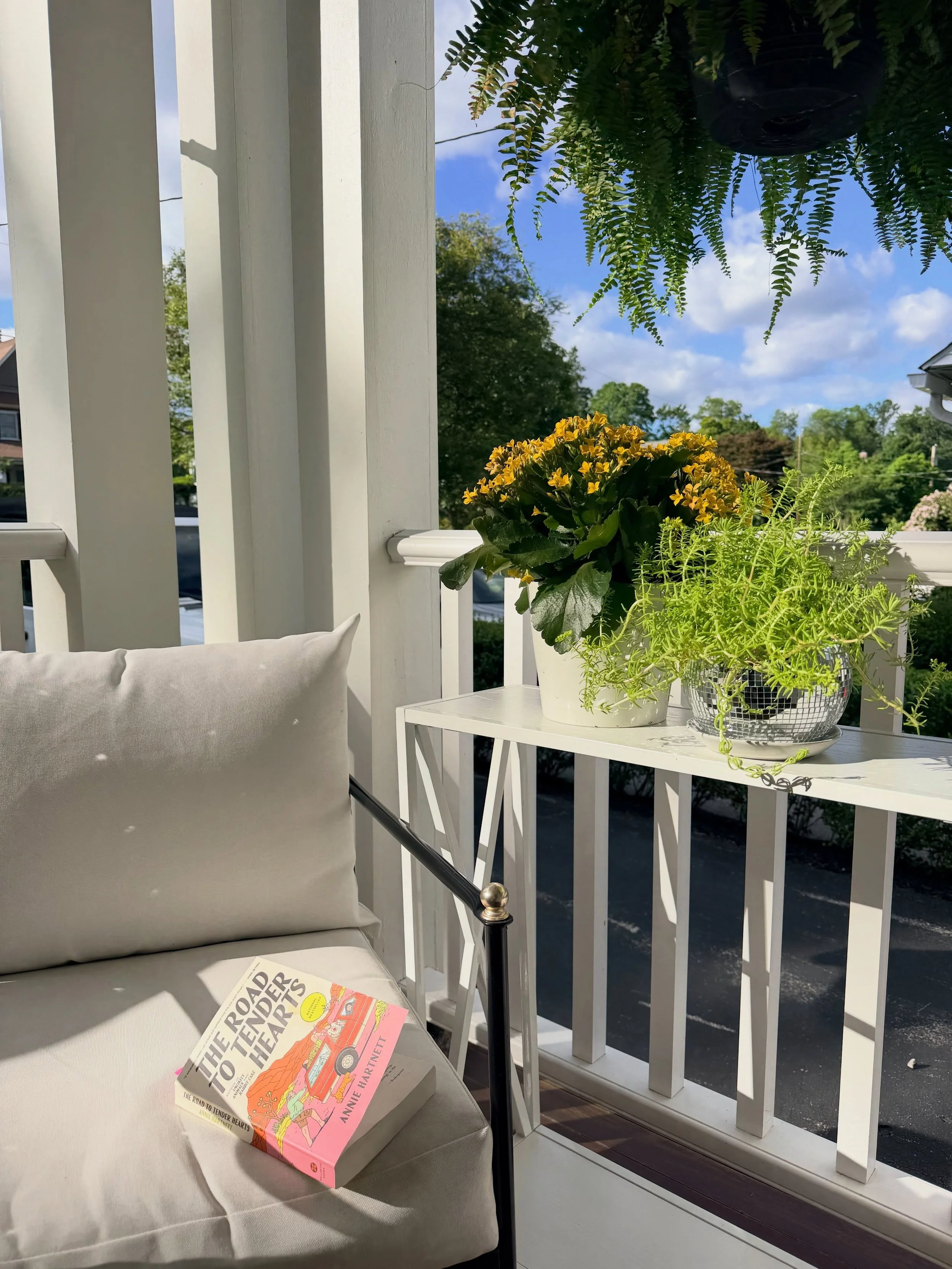 Saturday things🕶️

front porch, book club, disco ball, plants, patio, outdoor decorating, summertime 

#mainlineinteriordesign #jodiwarrendesigns #interiordecorating #coastalhomedecor