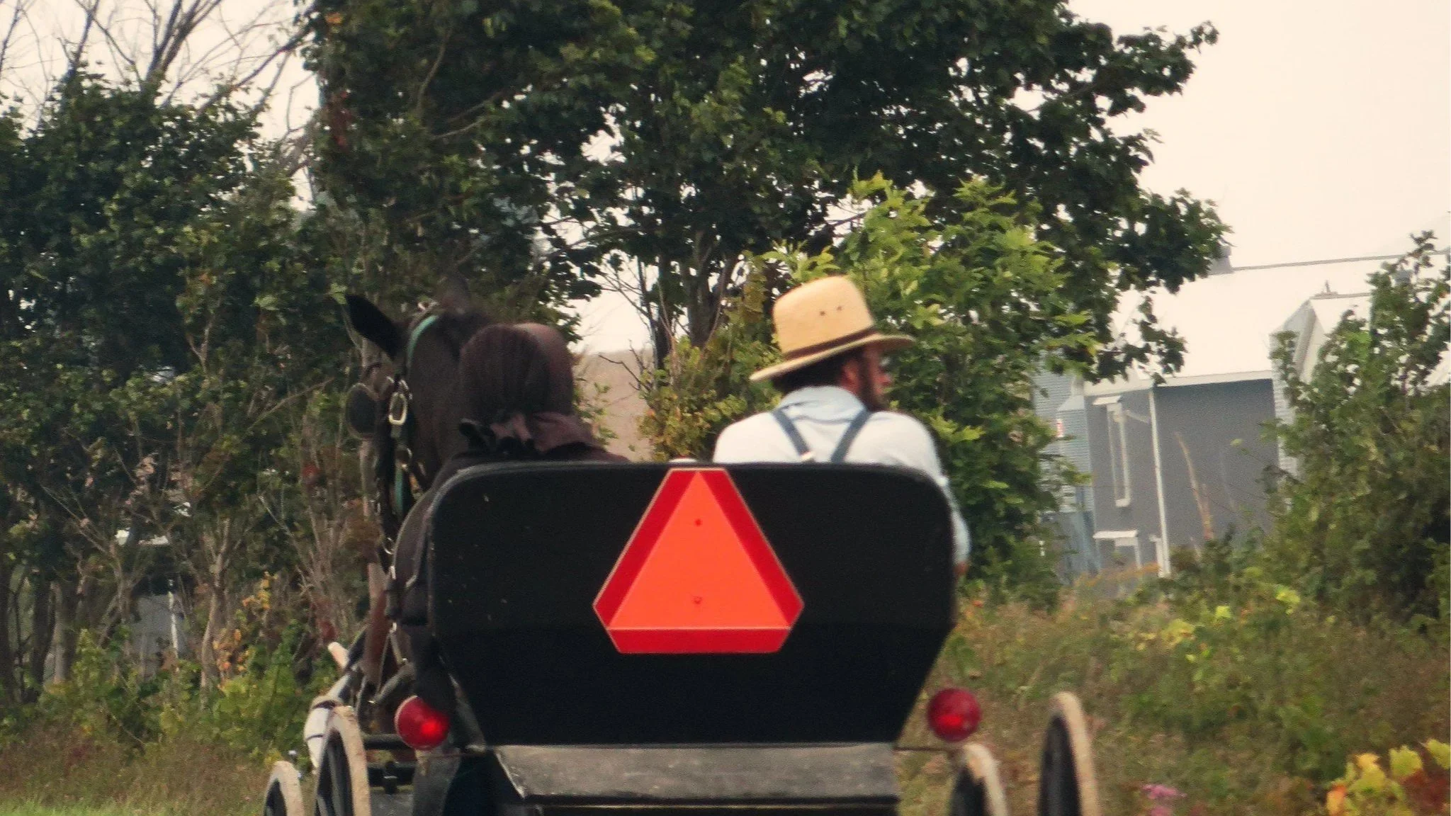 Mennonites Join Adventism