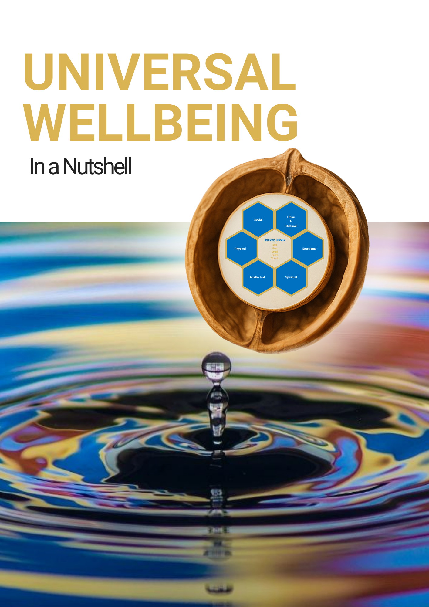 Universal Wellbeing In a Nutshell (A4 Print Edition)