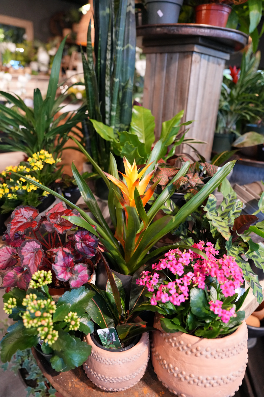 Florals sourced from Greenville, SC.
