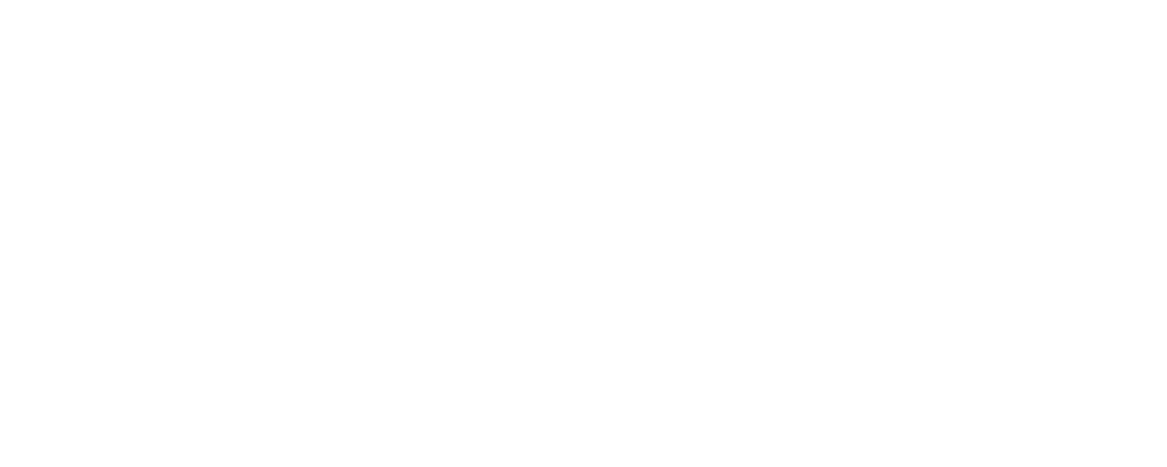 Newcomer Health Hub