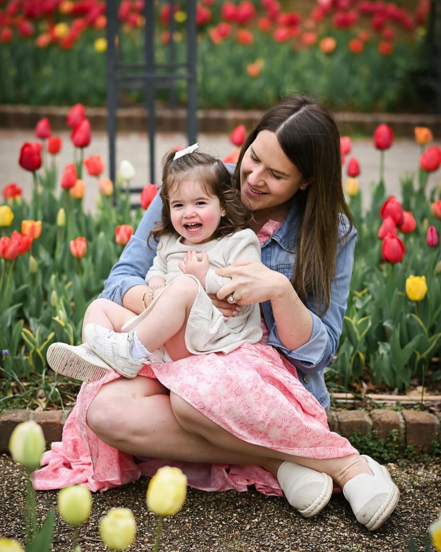 Is it just me or are the tulips at @dixonmemphis just EXTRA beautiful this year?!? 🌷🌷🌷