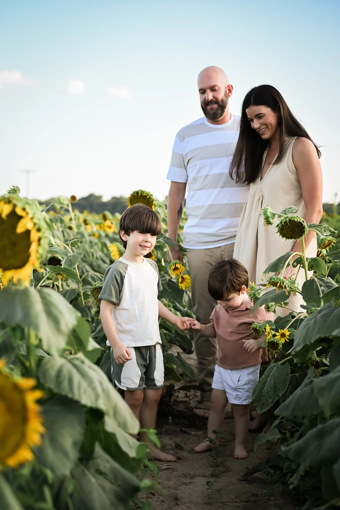 Summer Family Session in the Sunflower Fields