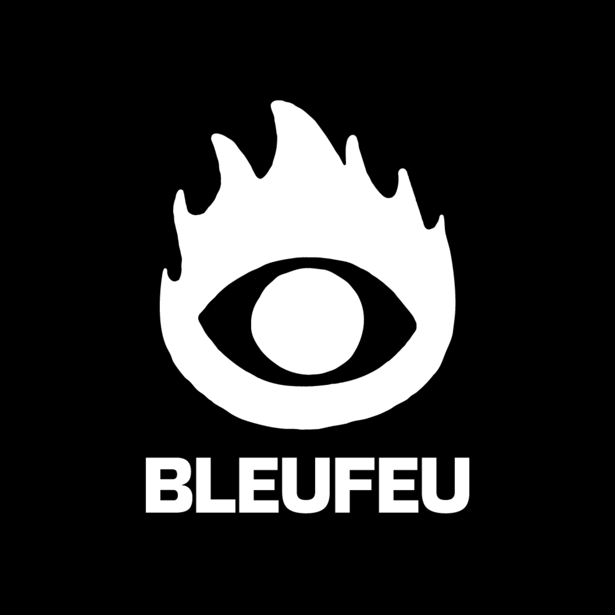 BLEUNOIR.png